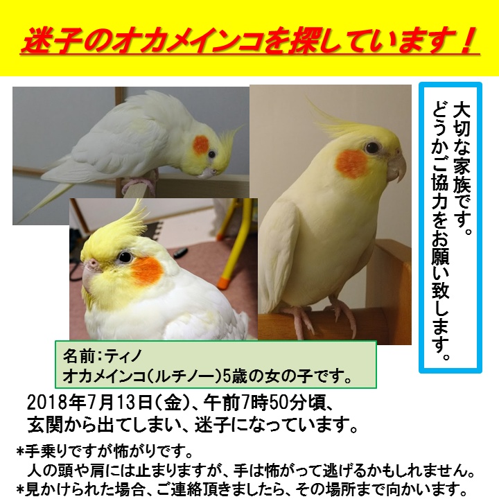 ユーザーの写真