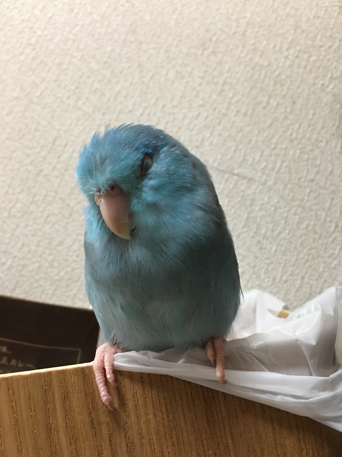 ユーザーの写真