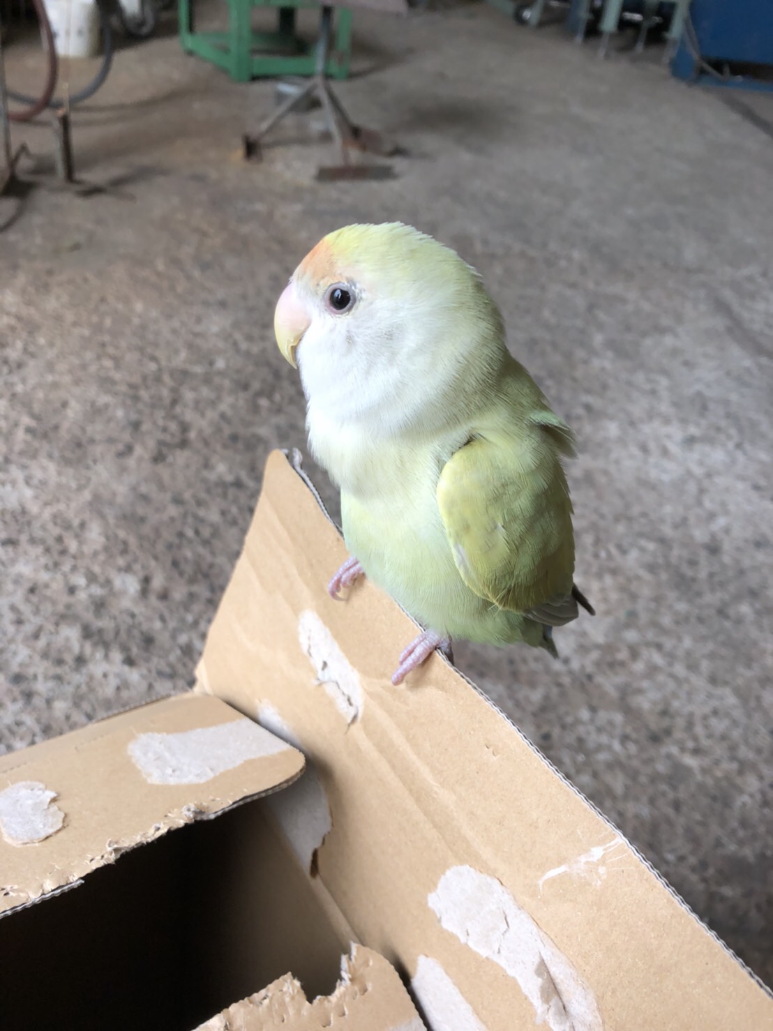 ユーザーの写真