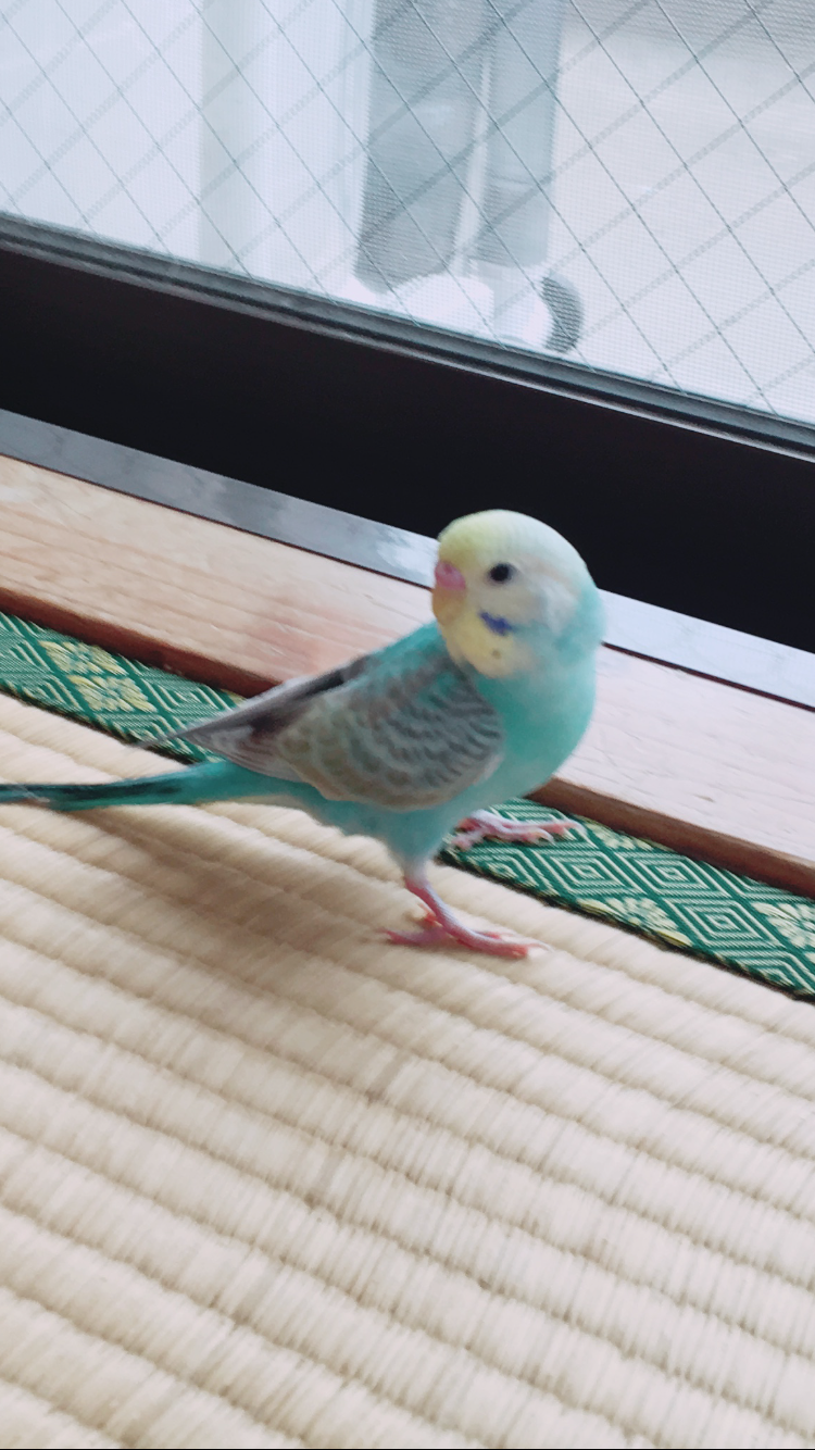 ユーザーの写真