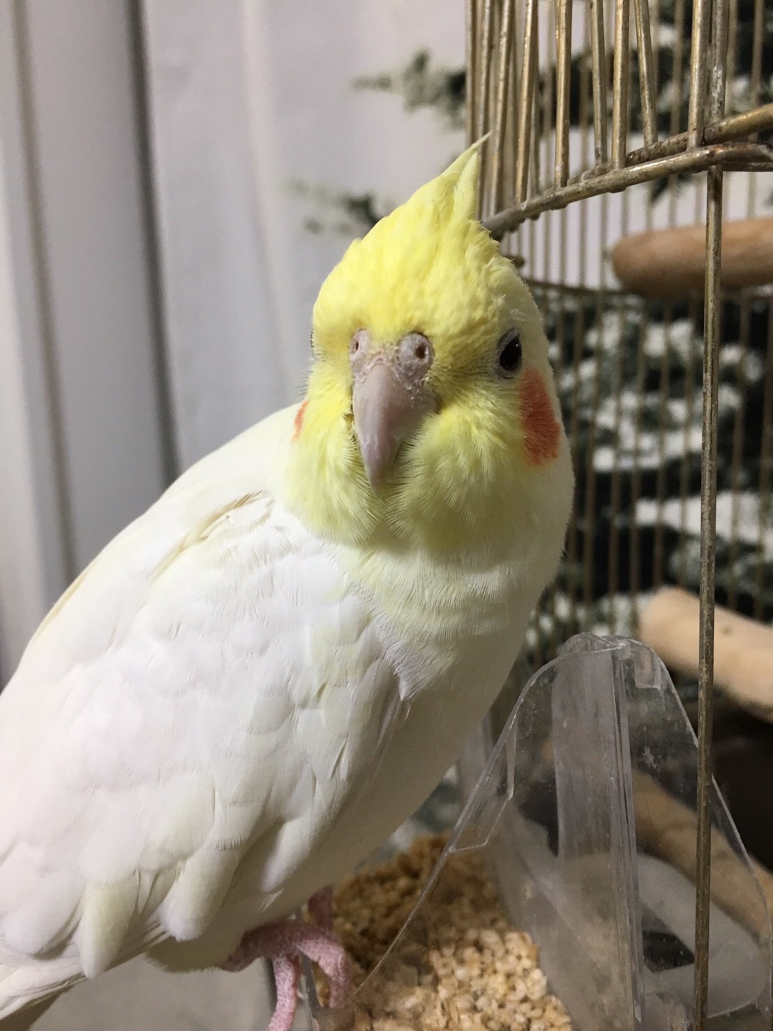 ユーザーの写真