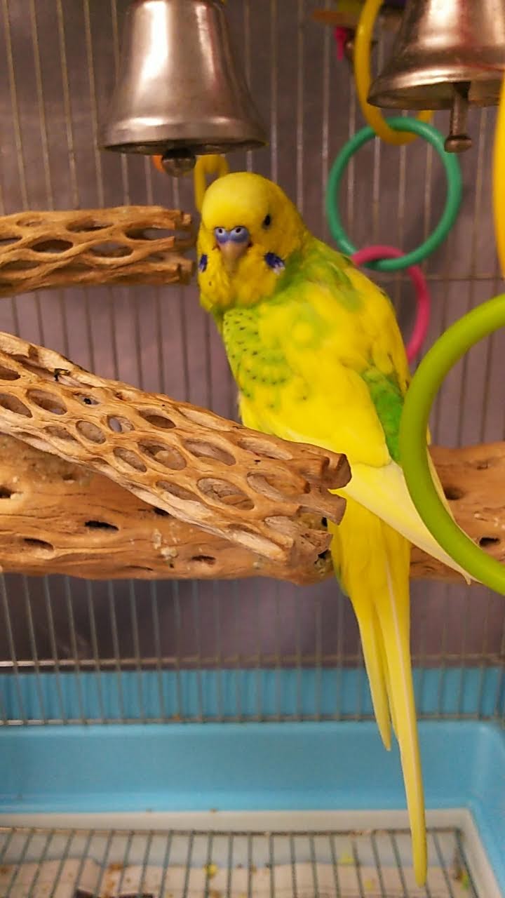 ユーザーの写真