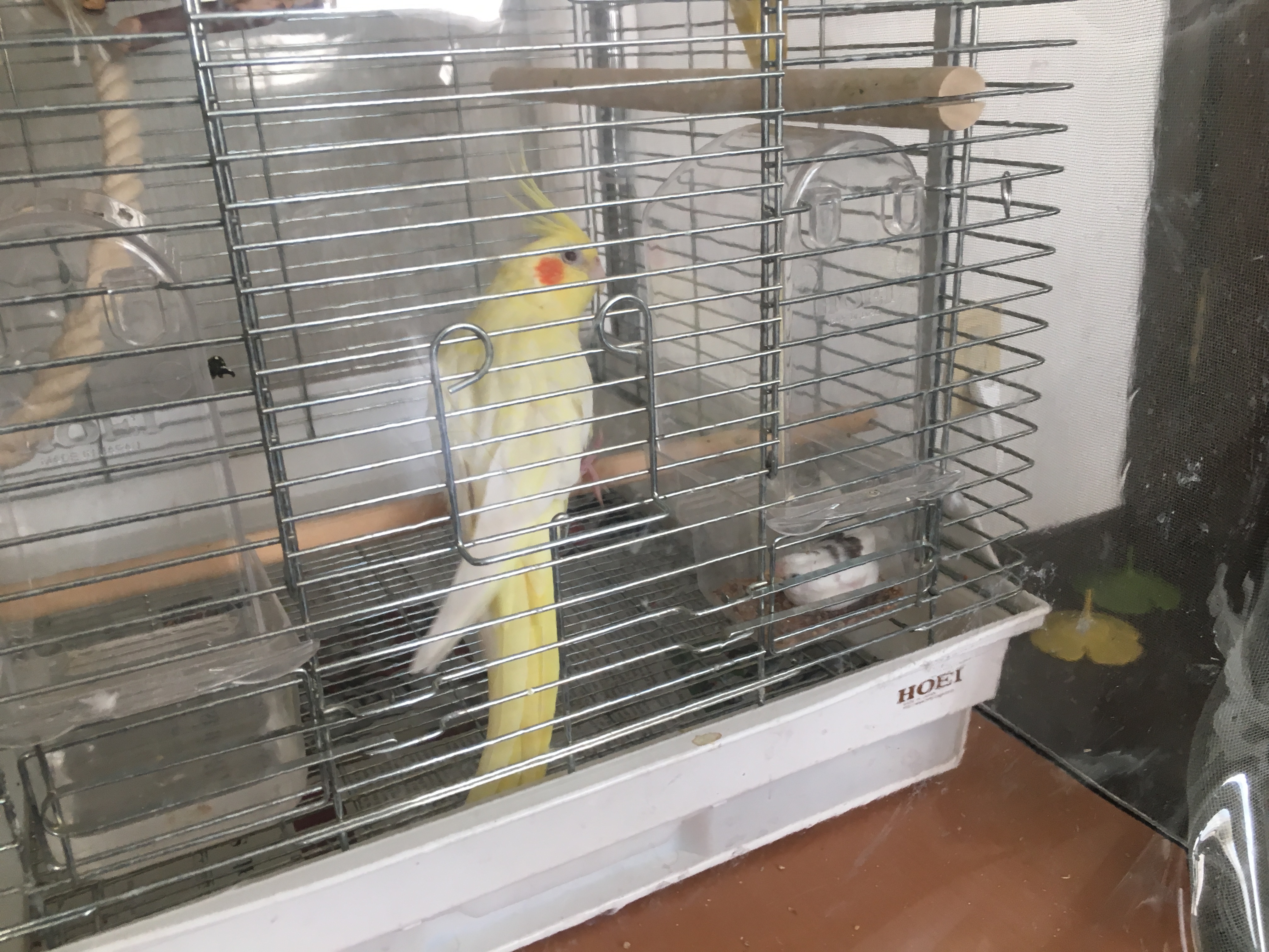 ユーザーの写真