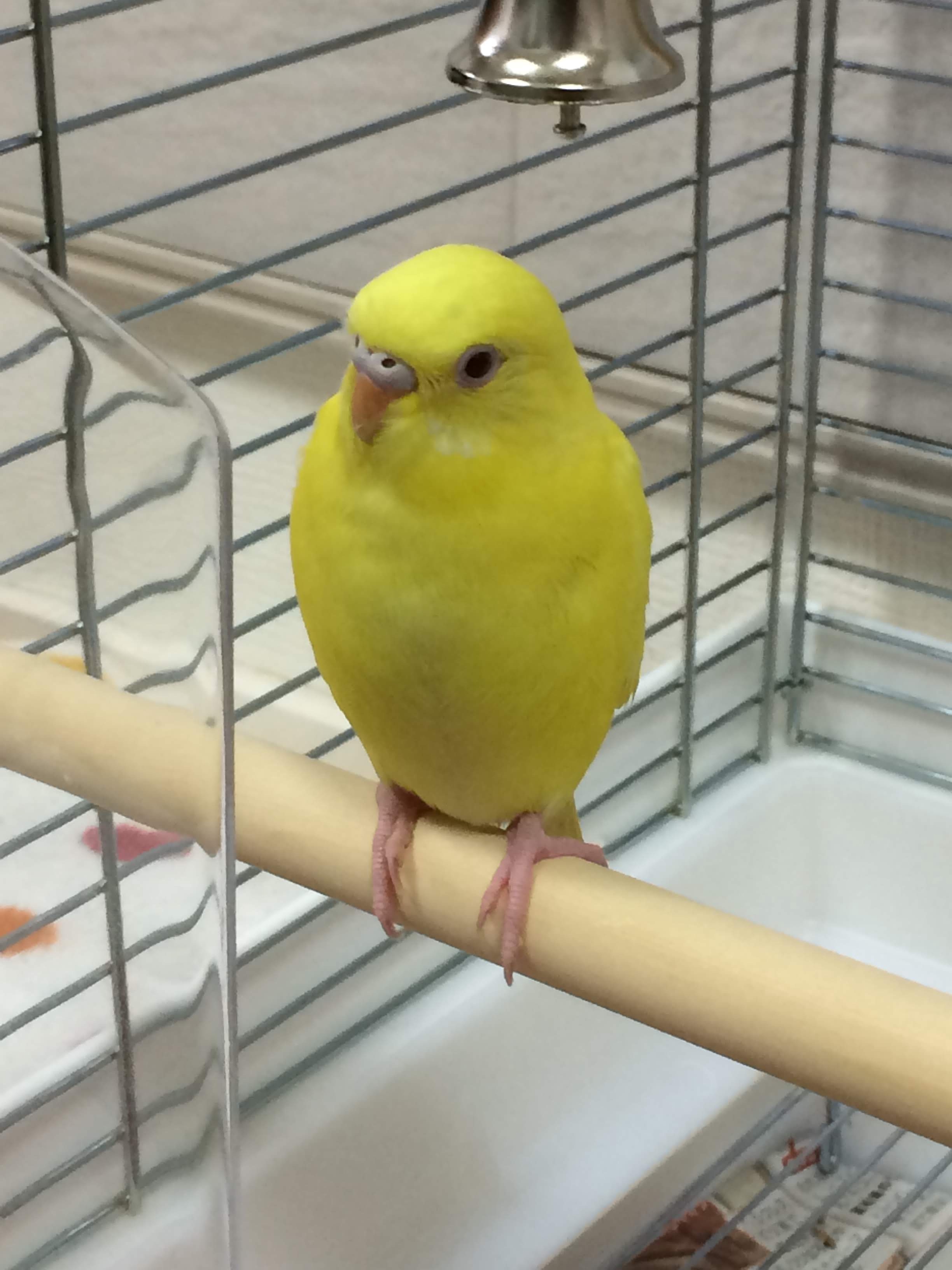 ユーザーの写真