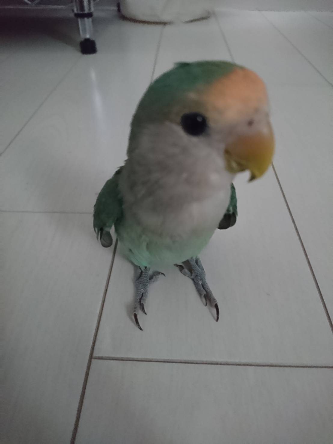 ユーザーの写真