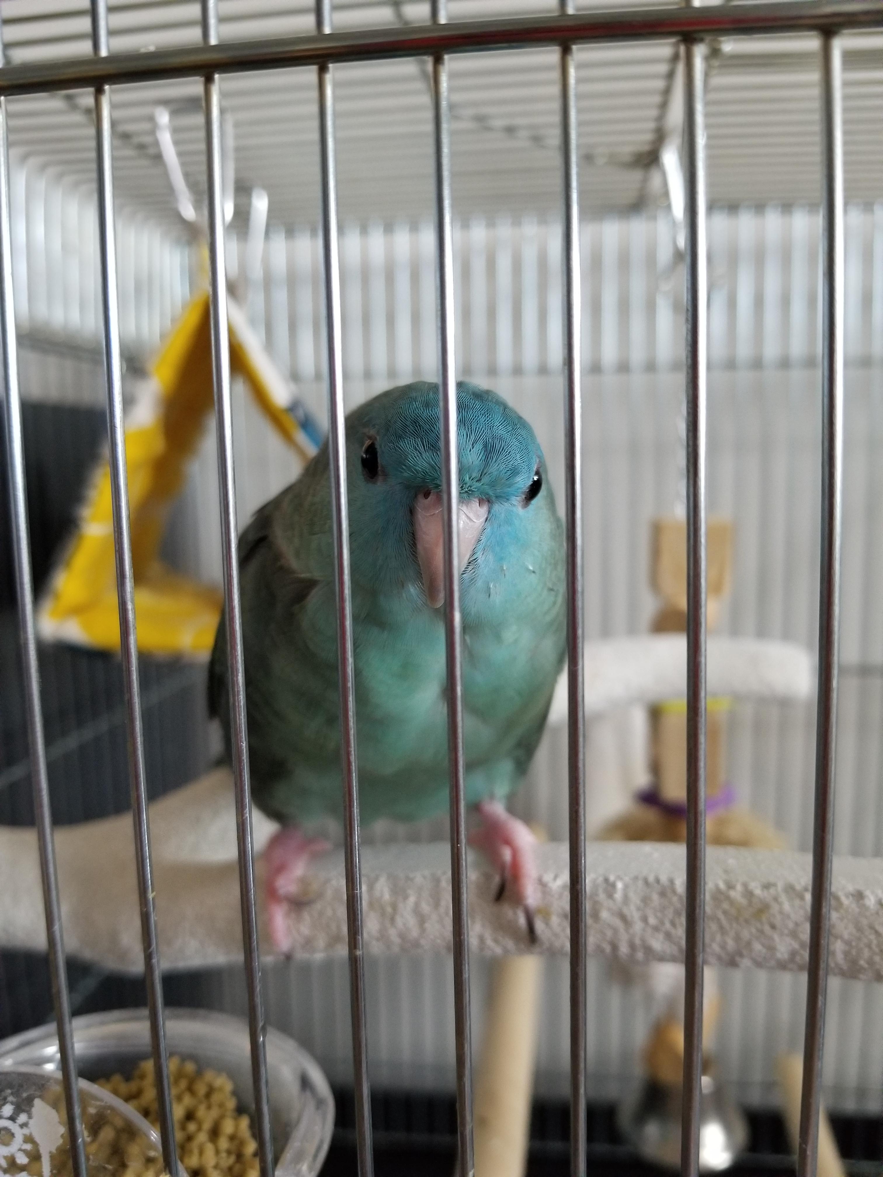 ユーザーの写真