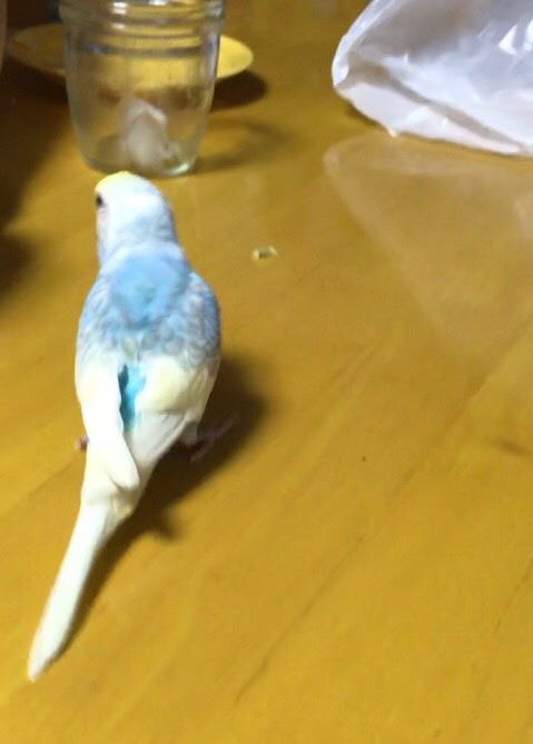 ユーザーの写真