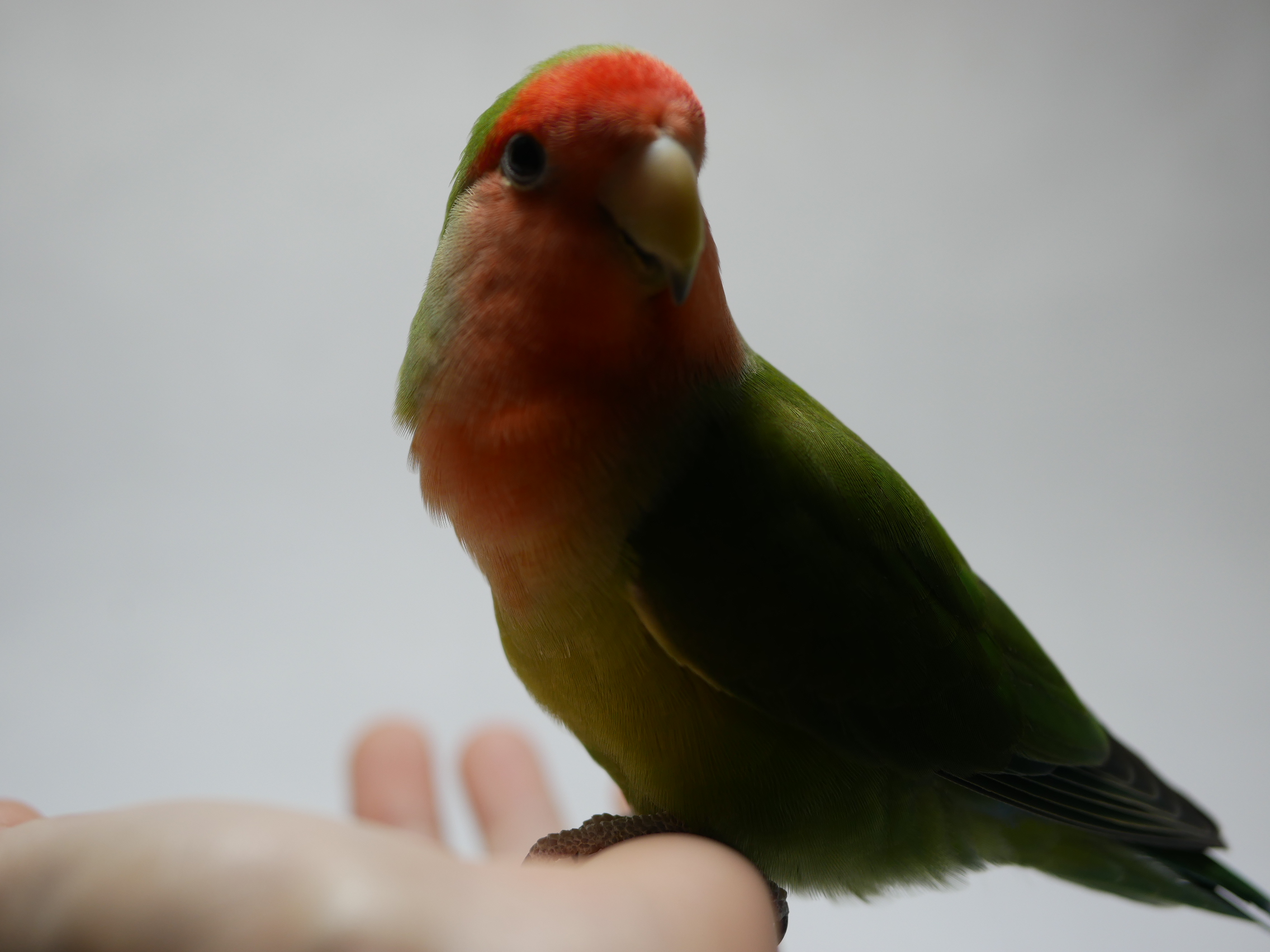 ユーザーの写真