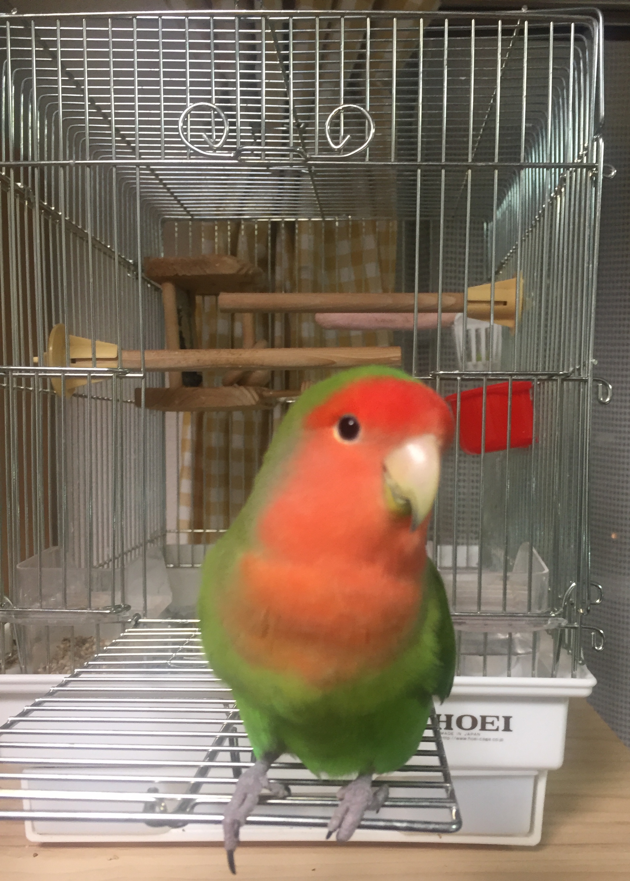 ユーザーの写真