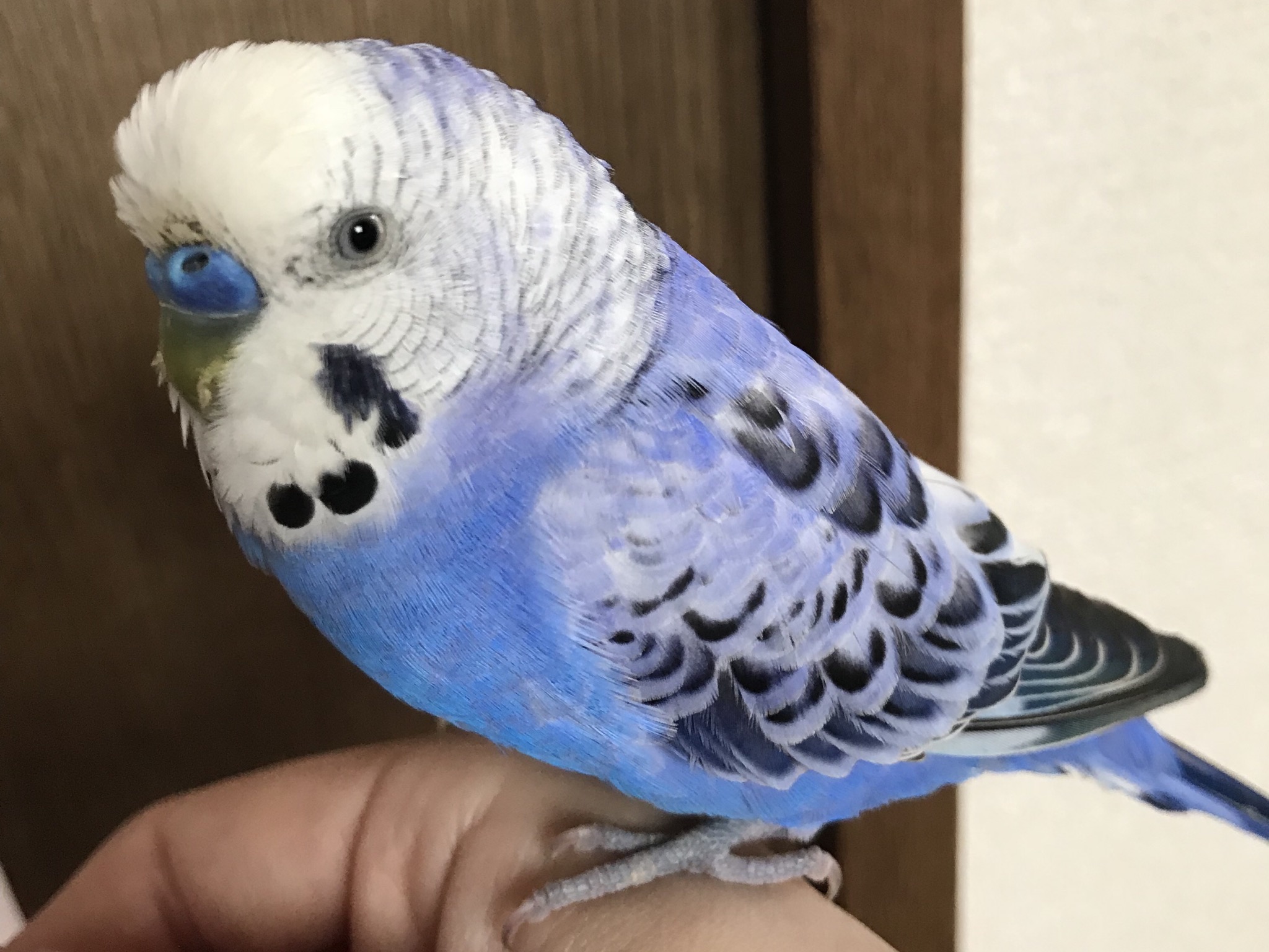 ユーザーの写真