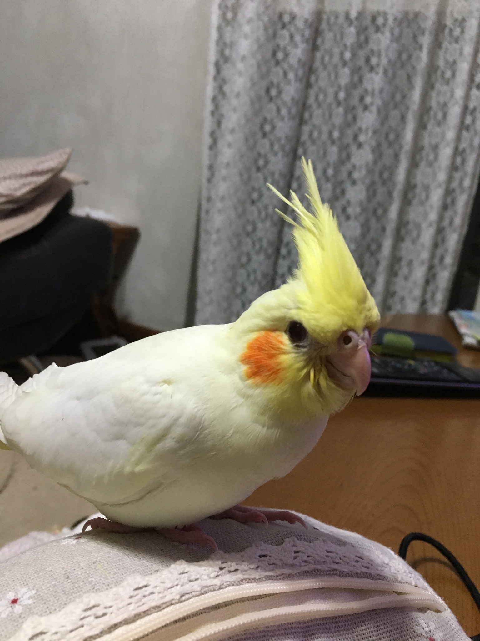 ユーザーの写真