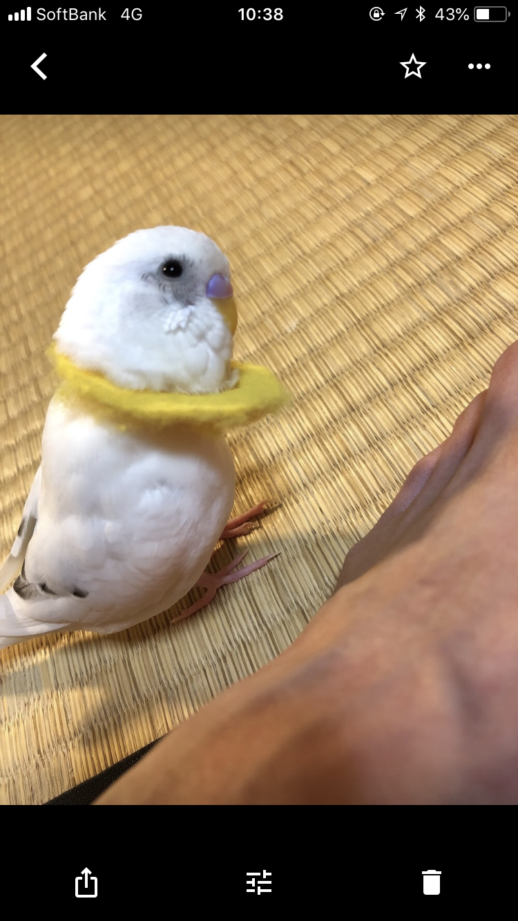 ユーザーの写真