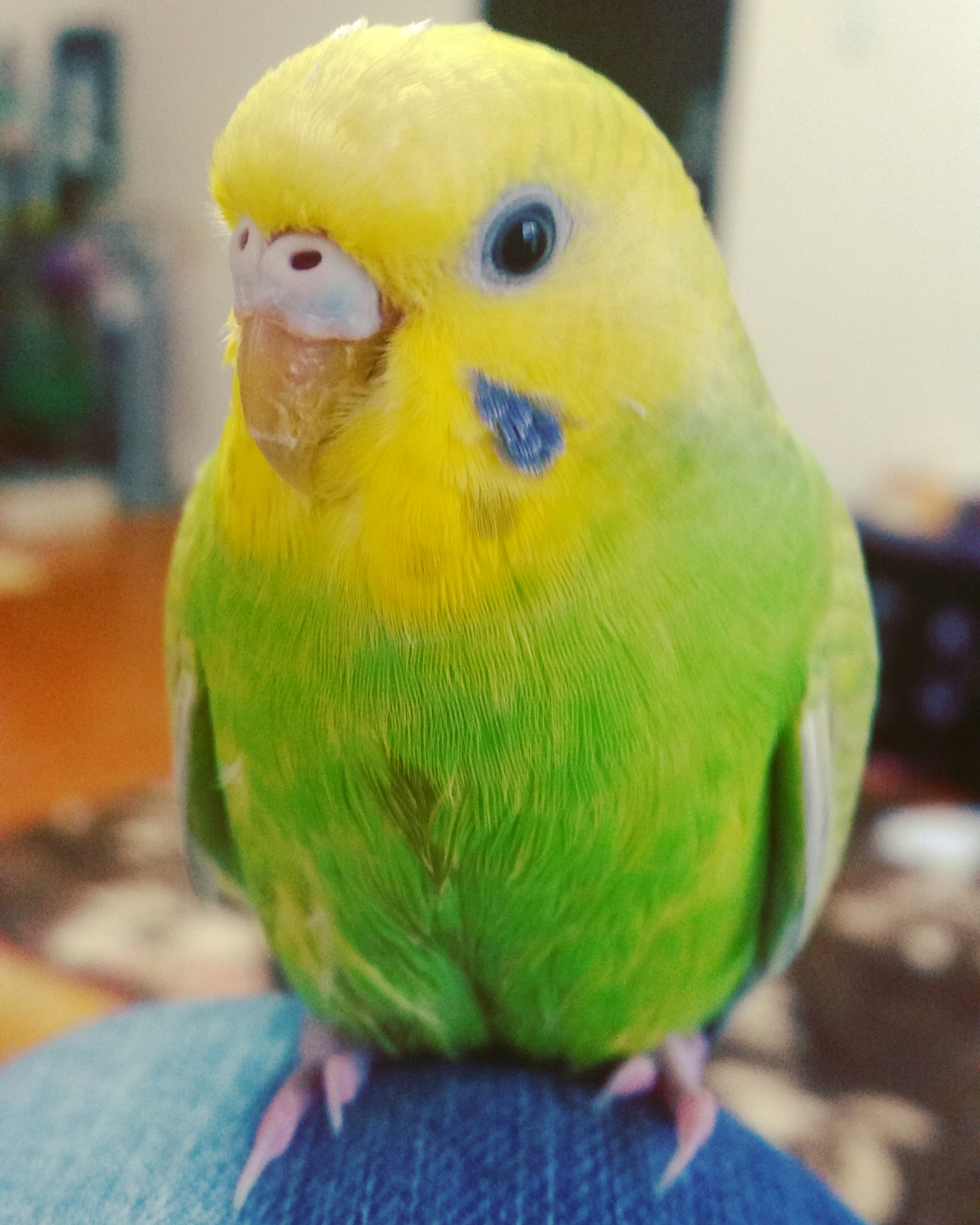 ユーザーの写真