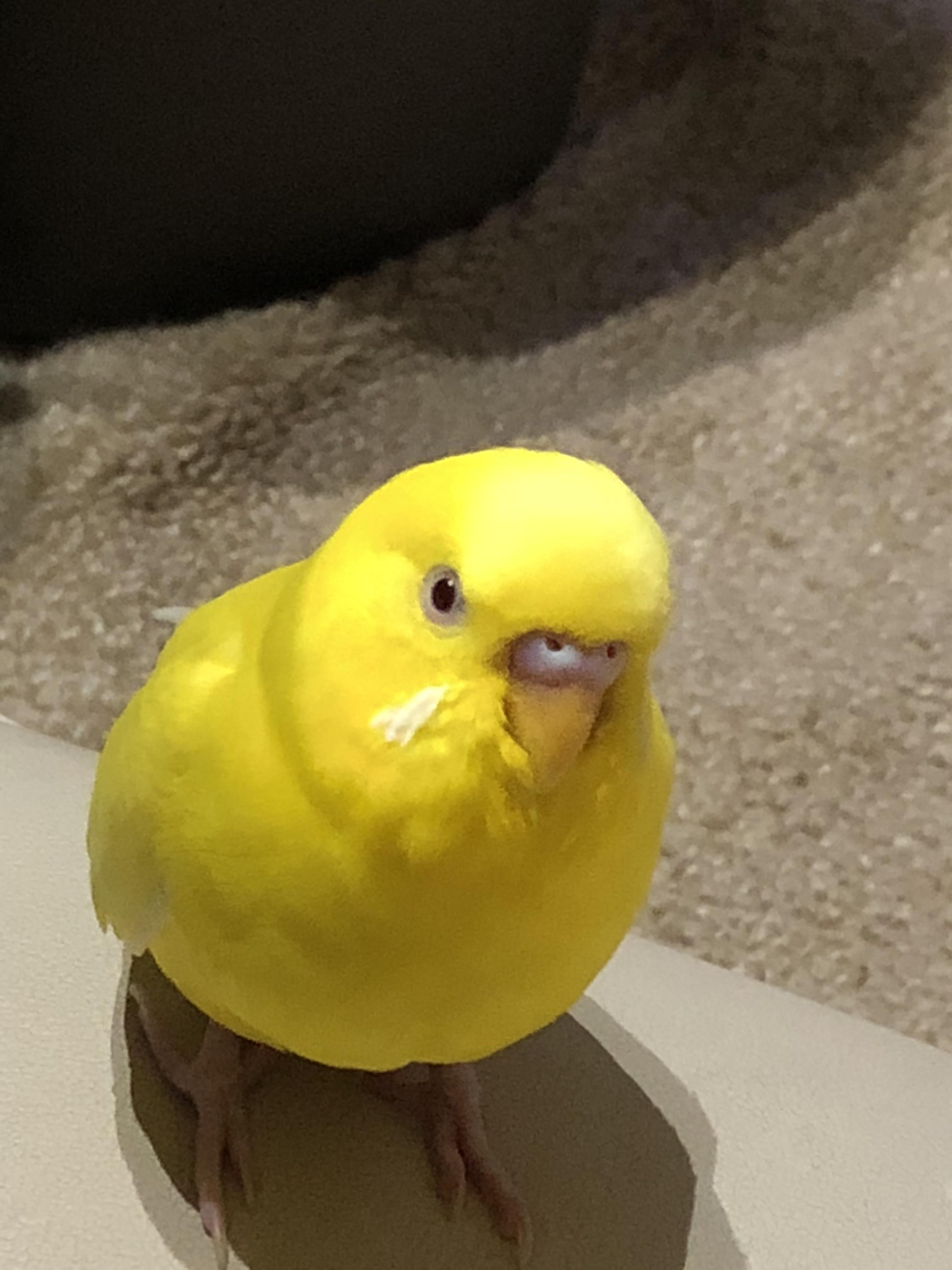 ユーザーの写真