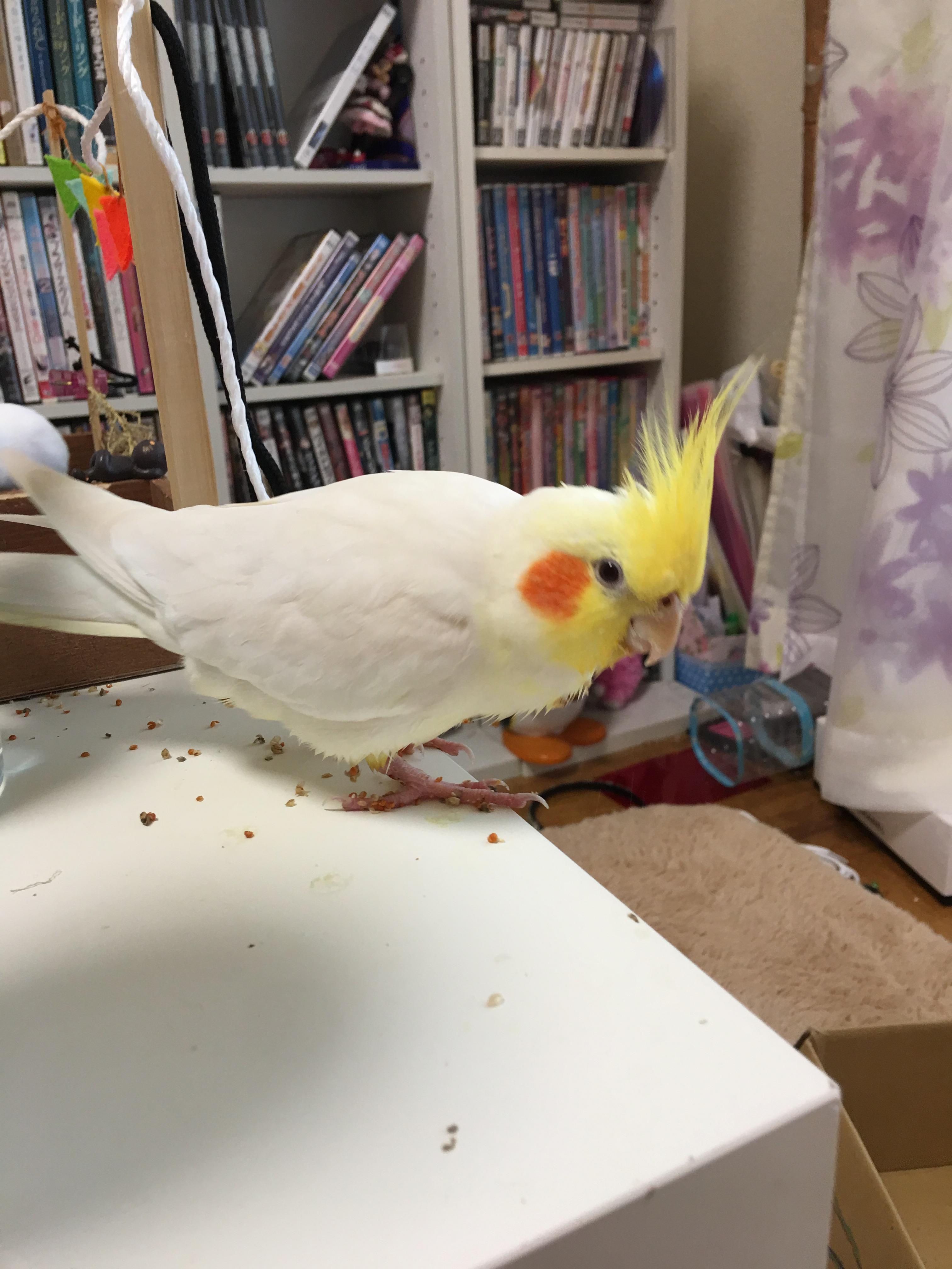 ユーザーの写真