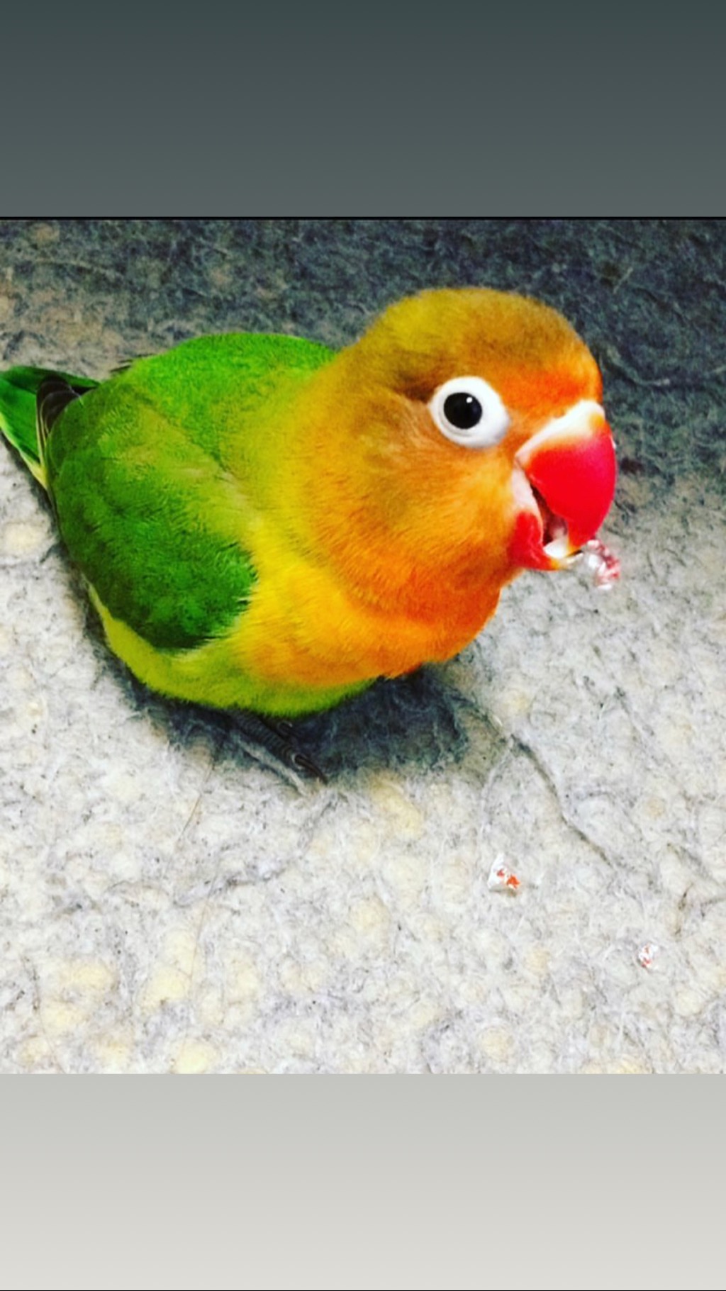 ユーザーの写真