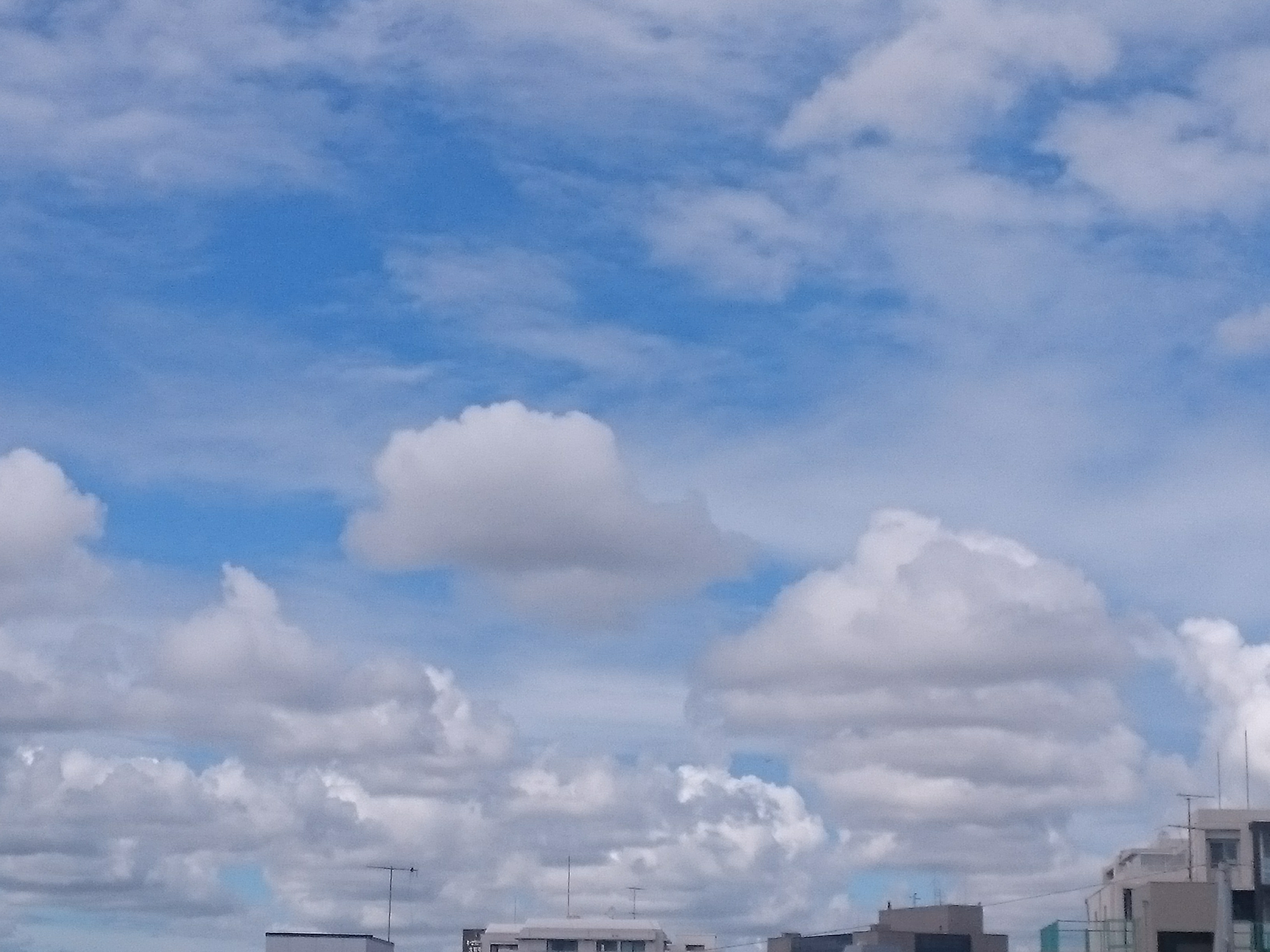 ユーザーの写真