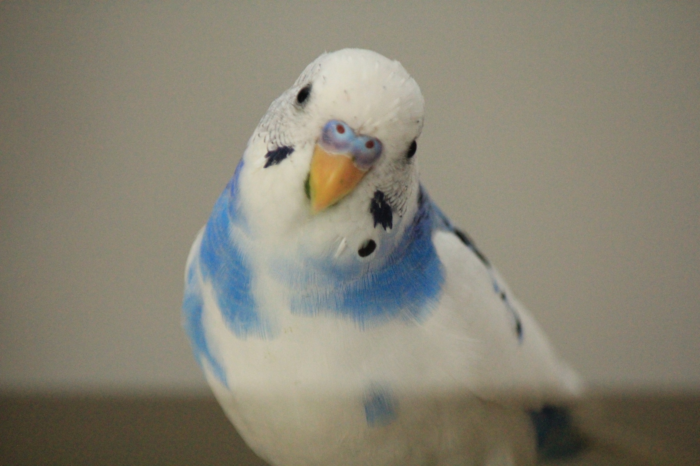 ユーザーの写真