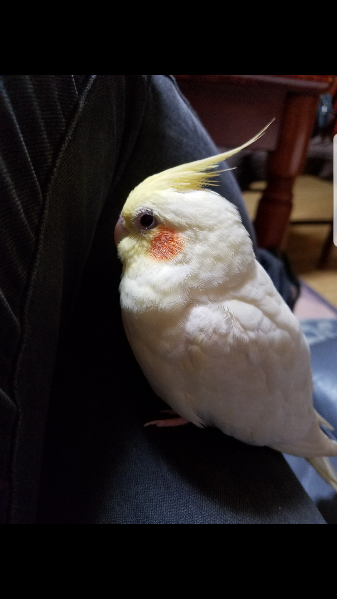ユーザーの写真