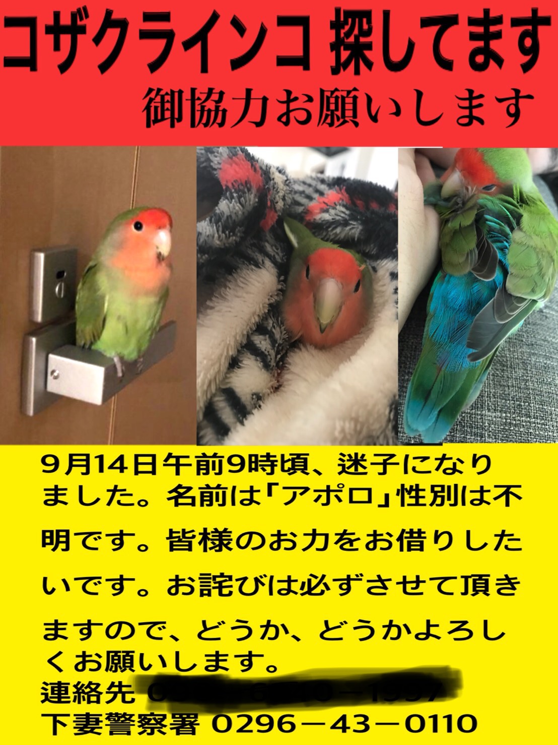 ユーザーの写真
