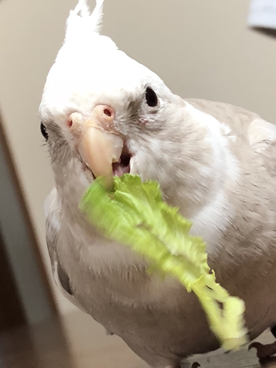 ユーザーの写真