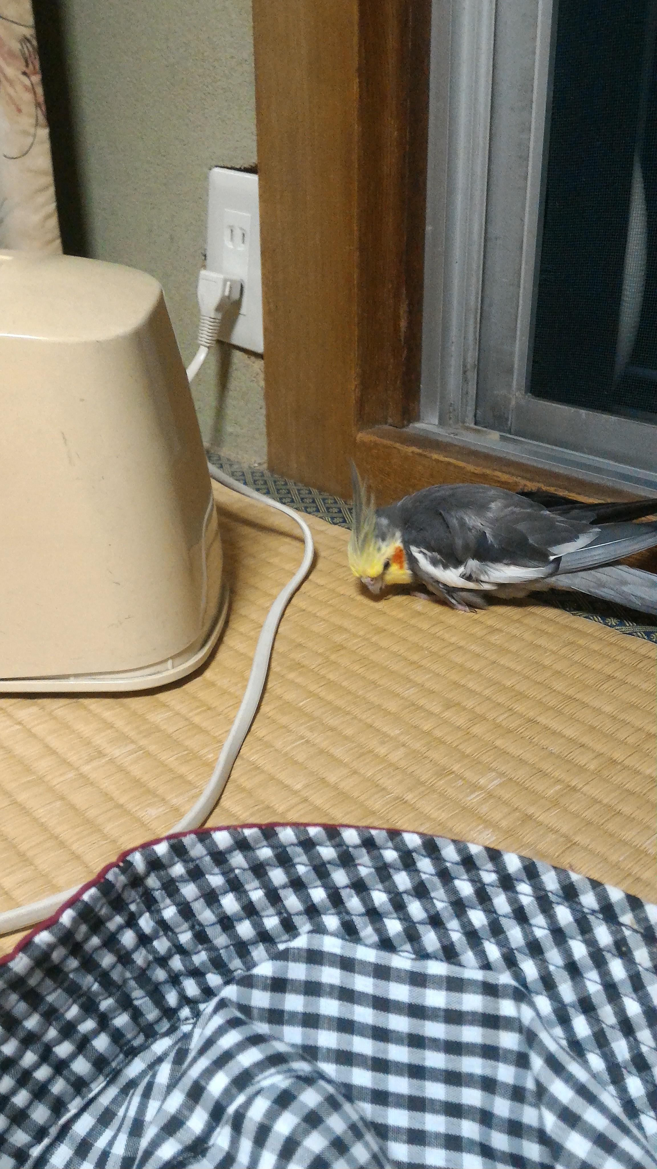 ユーザーの写真