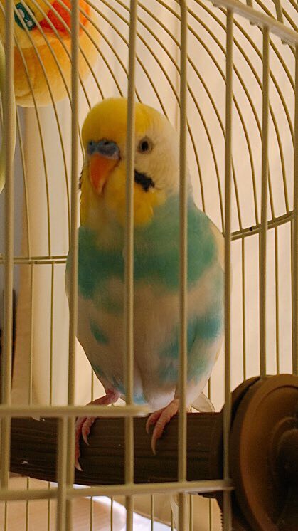 ユーザーの写真