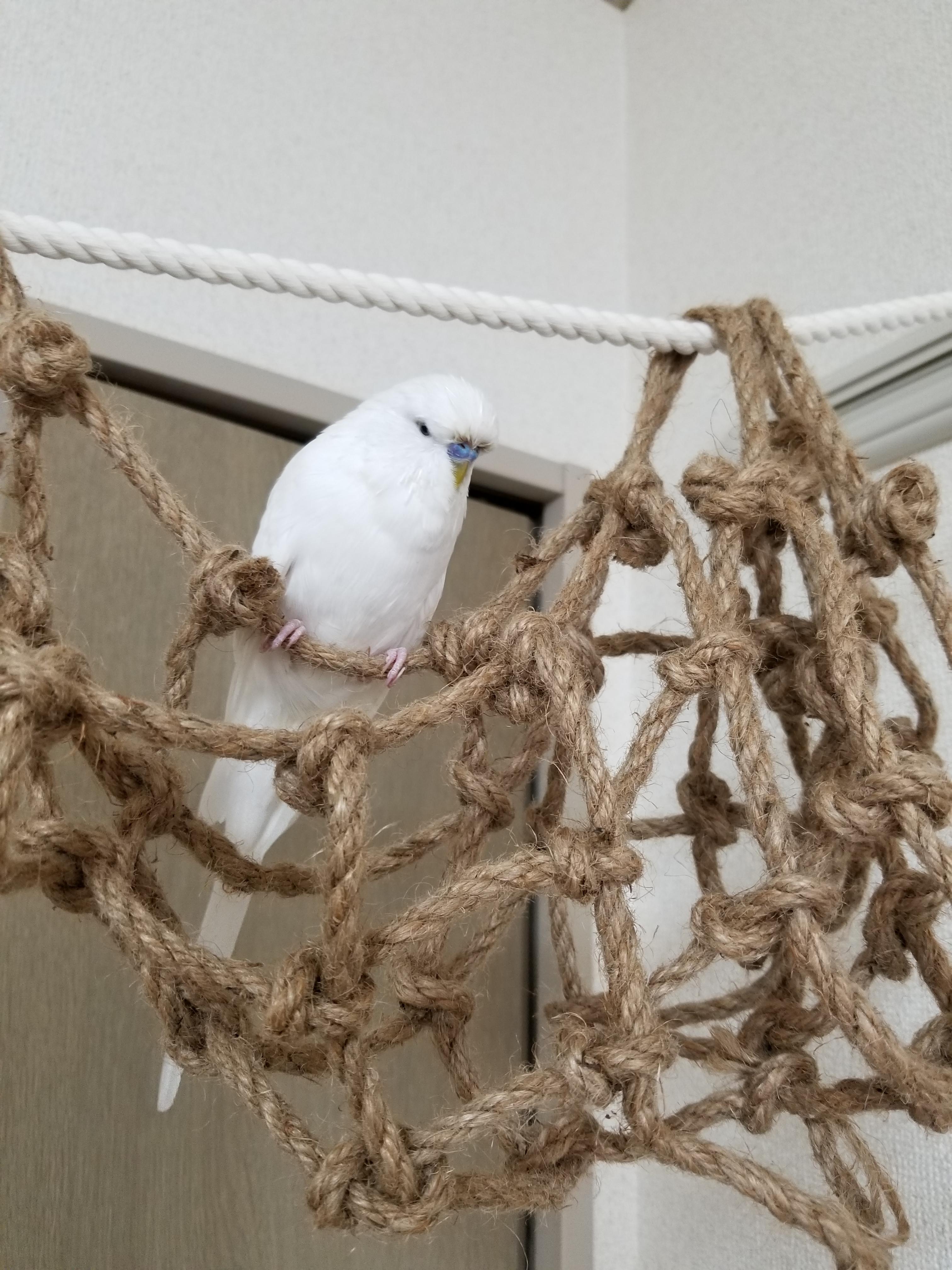 ユーザーの写真