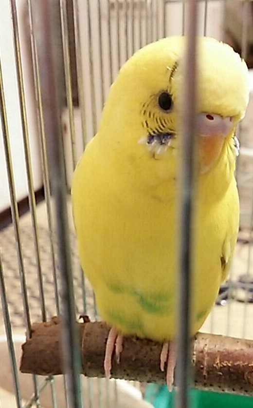 ユーザーの写真