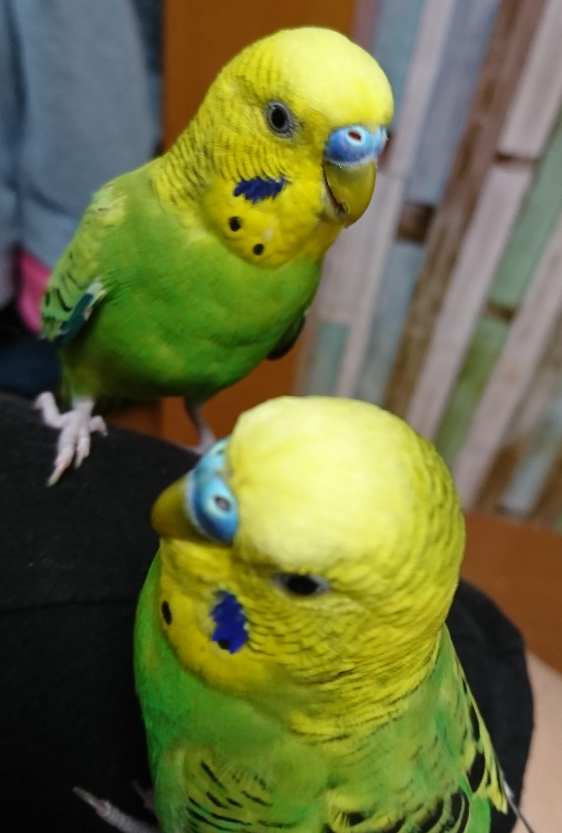 ユーザーの写真
