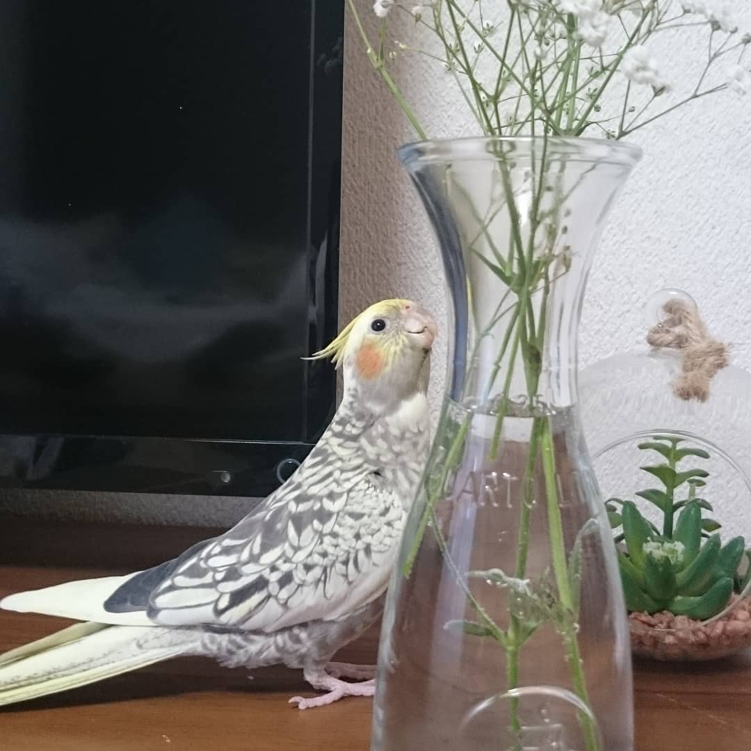 ユーザーの写真