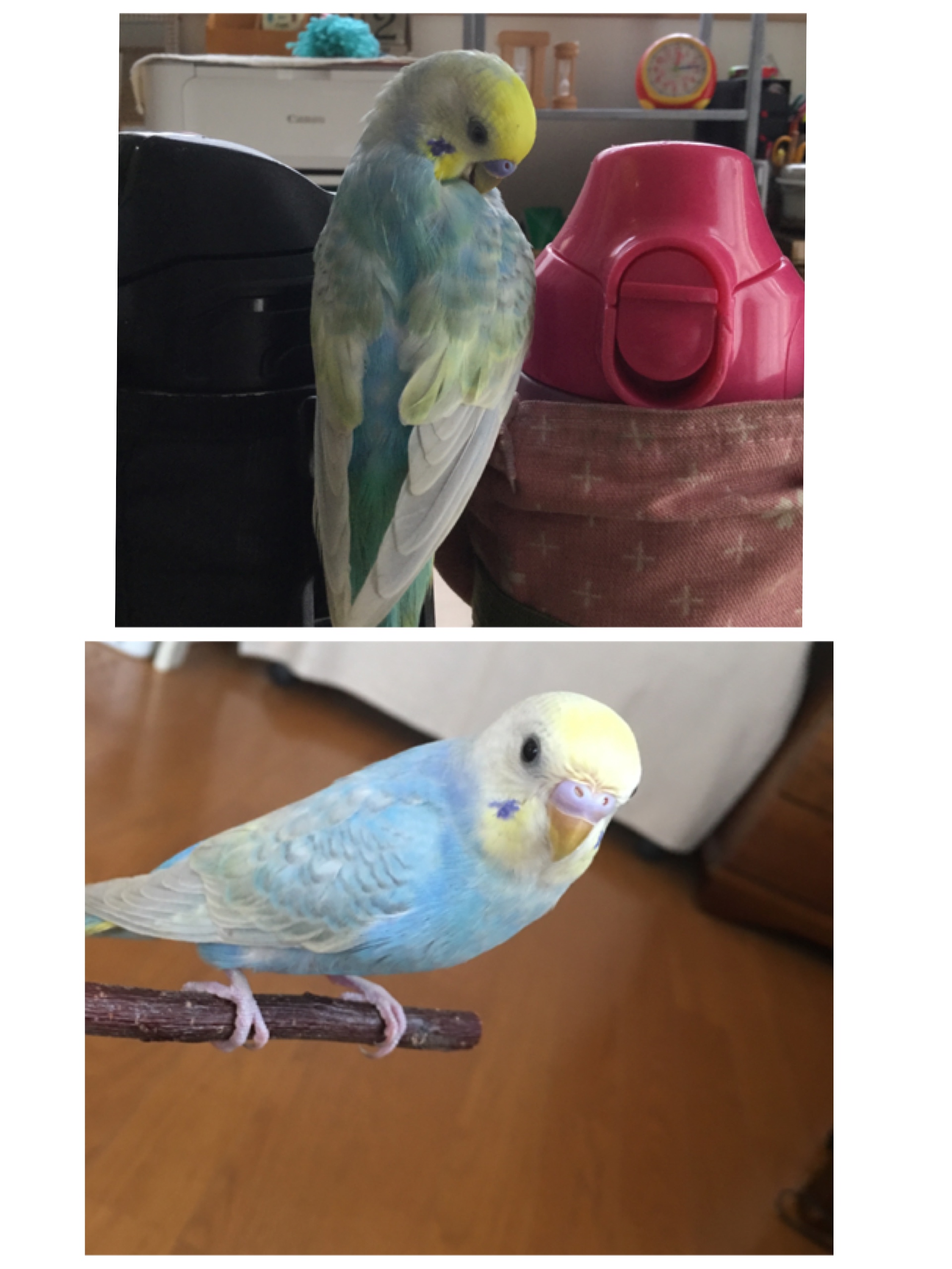 ユーザーの写真