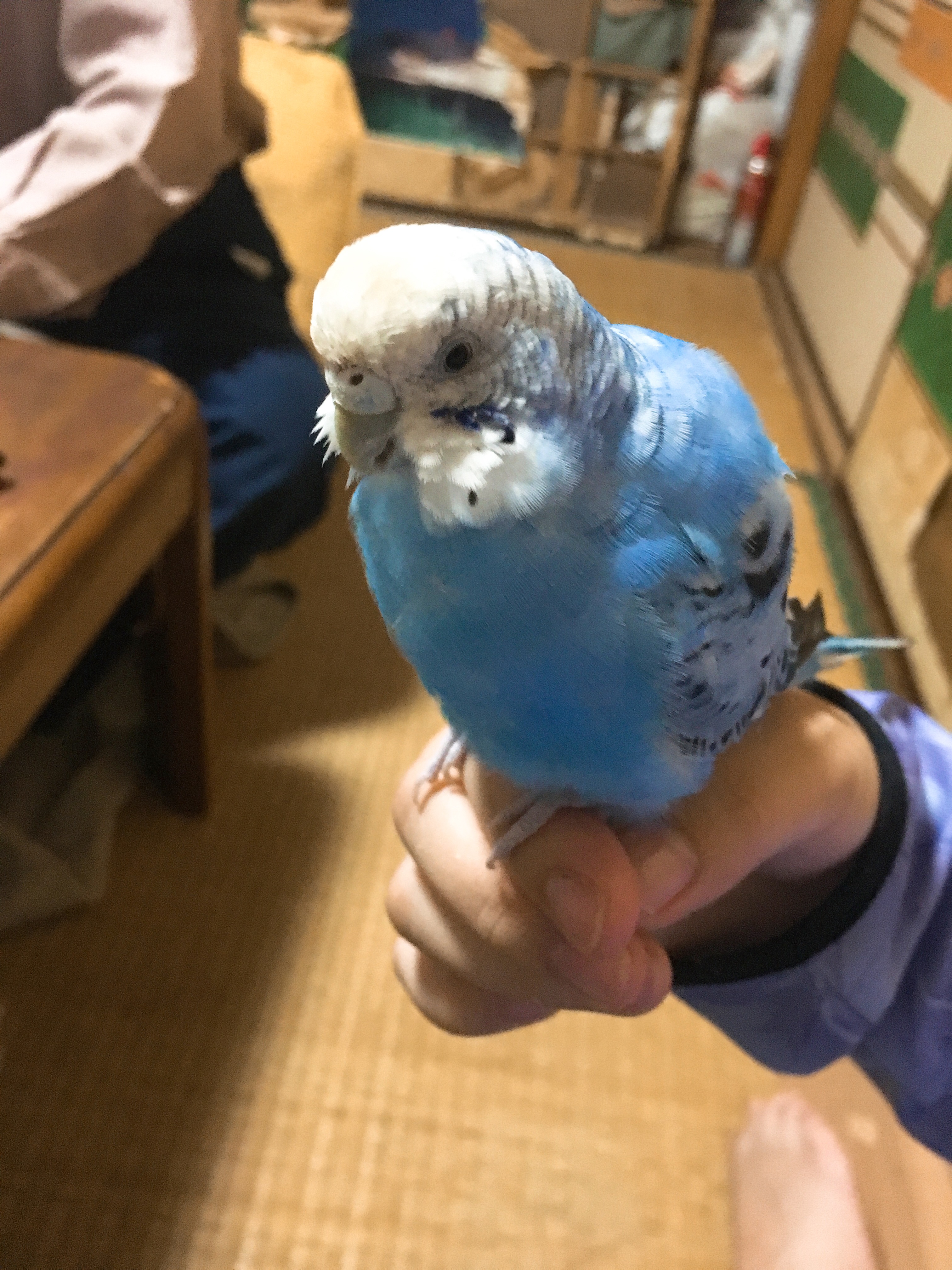 ユーザーの写真