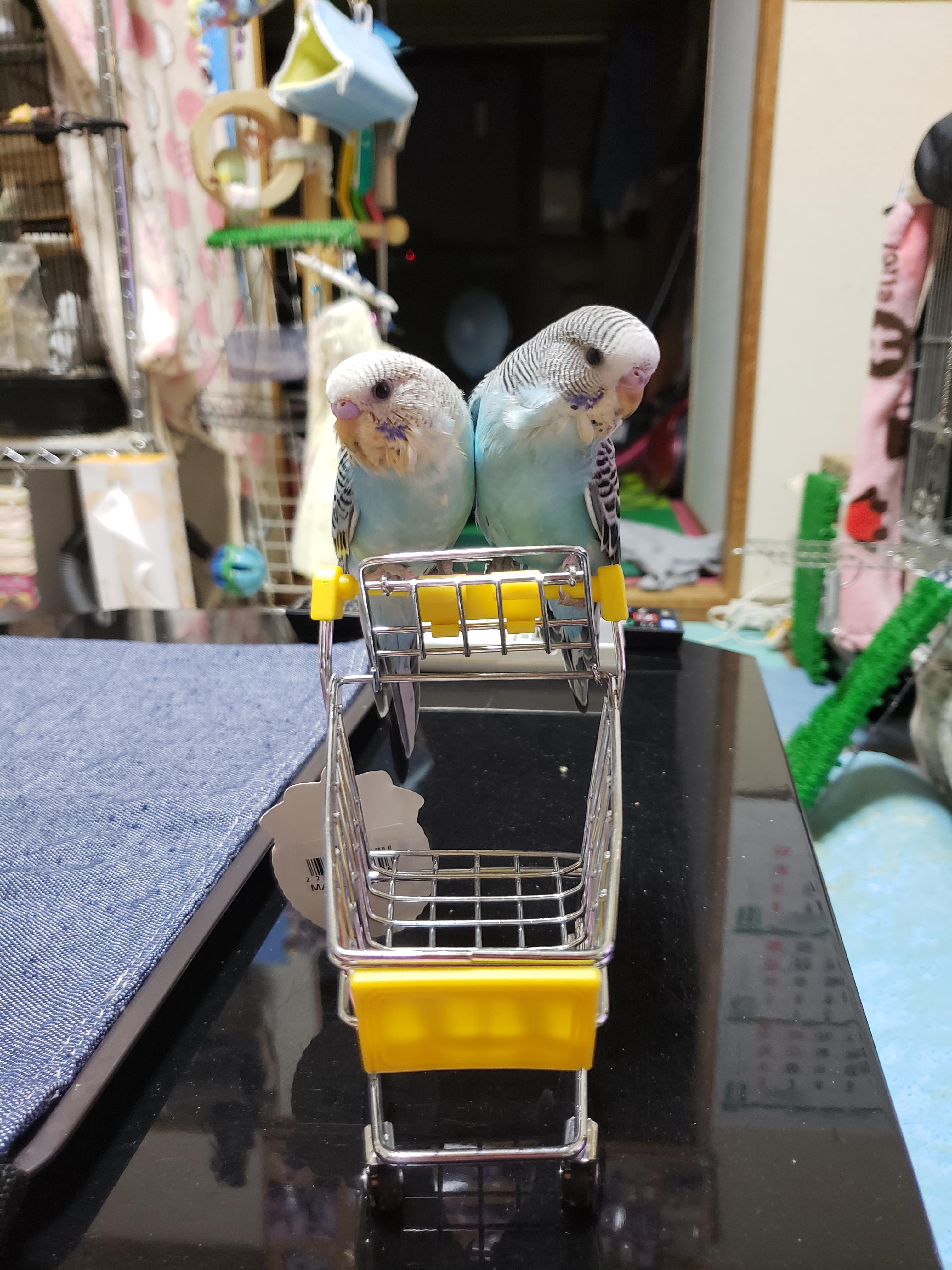 ユーザーの写真