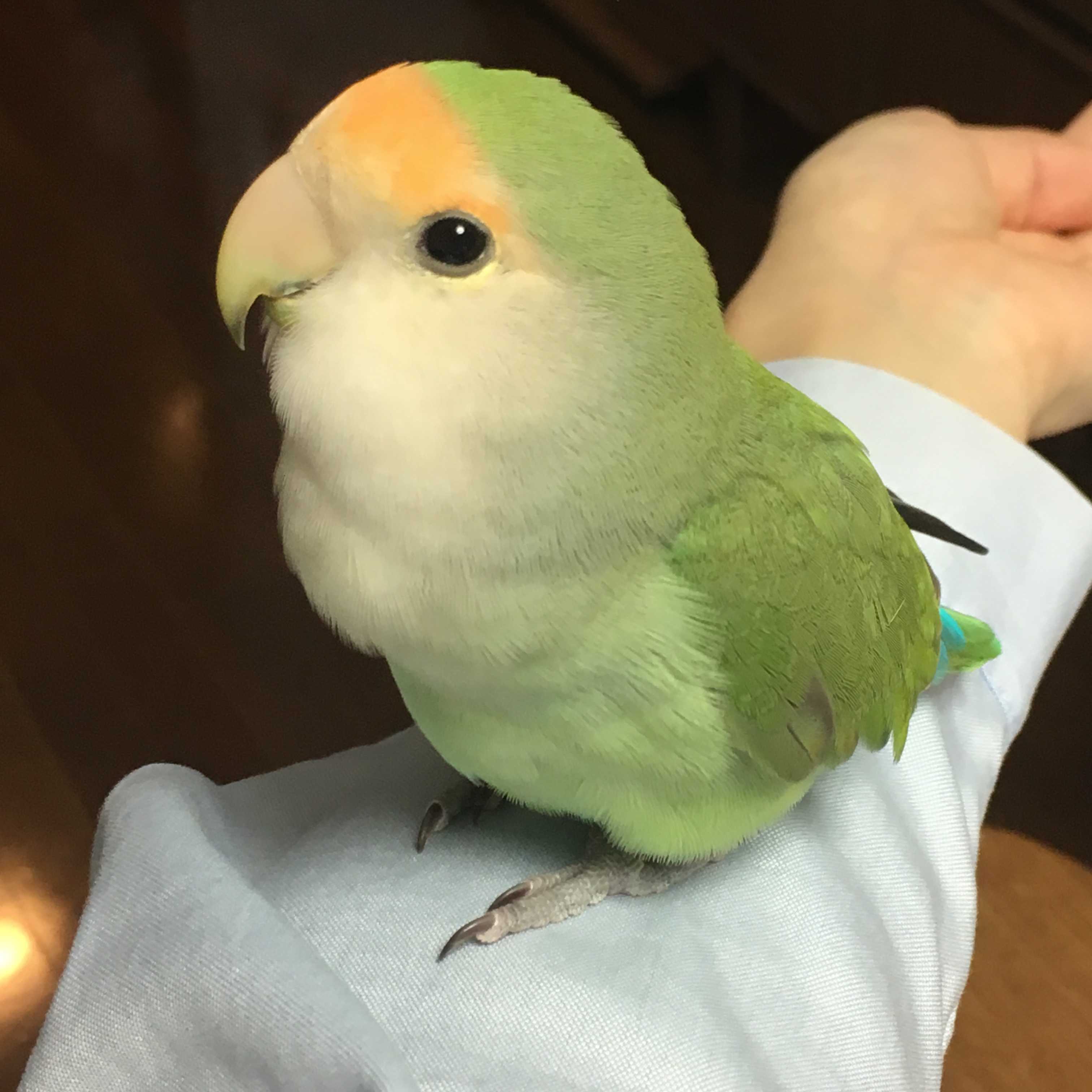 ユーザーの写真