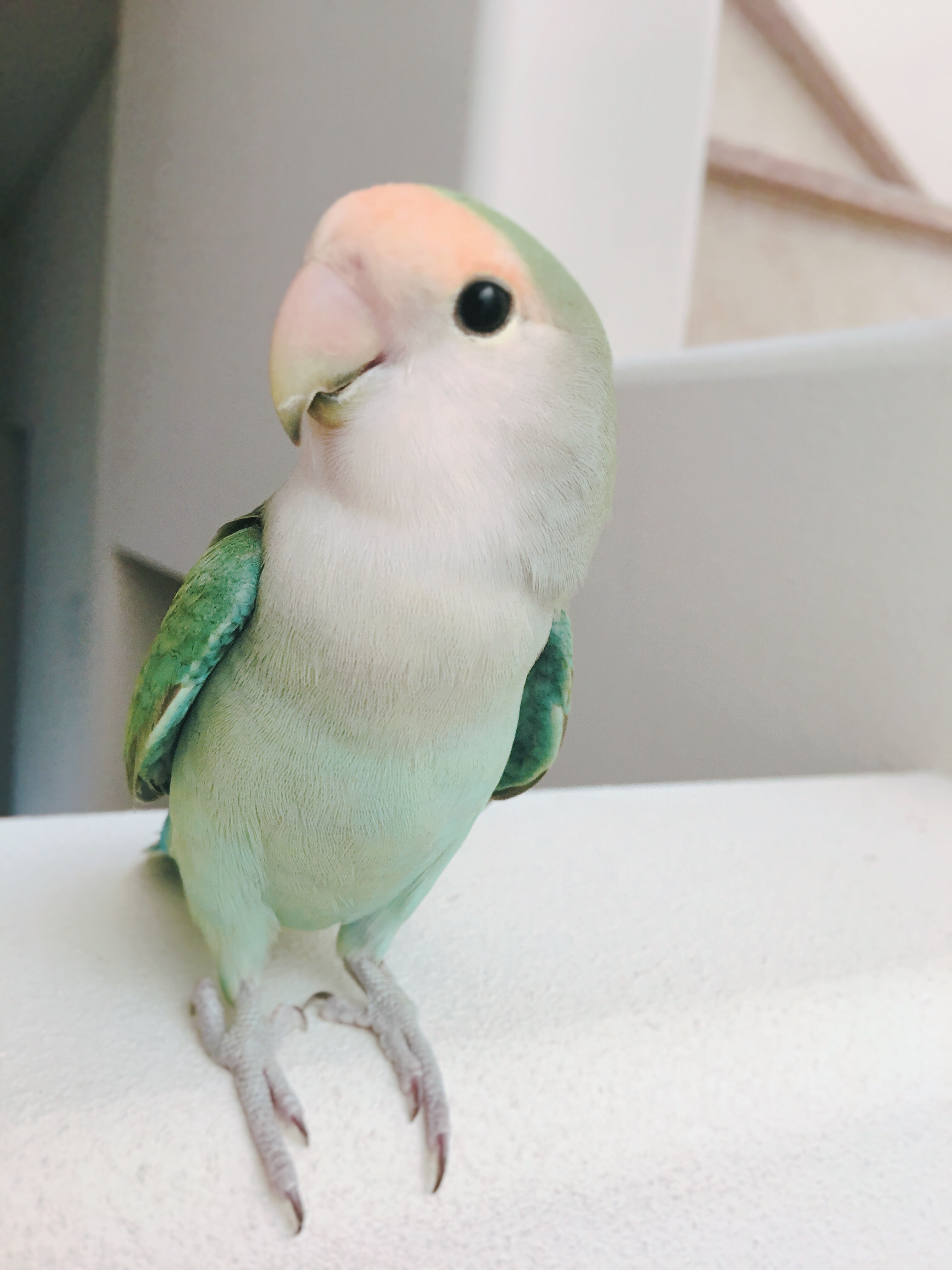 ユーザーの写真