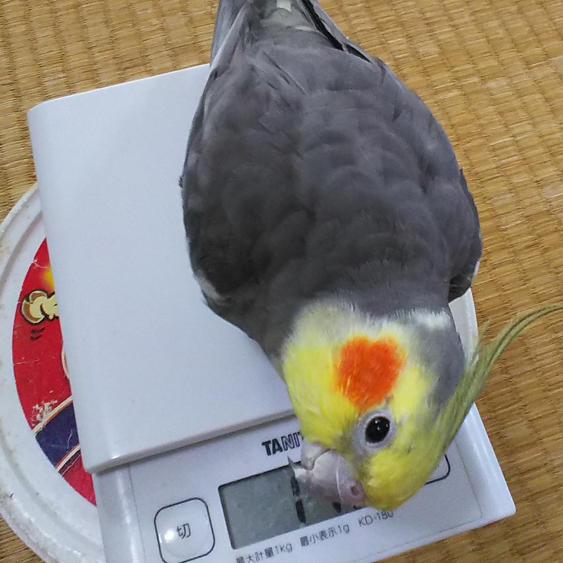 ユーザーの写真