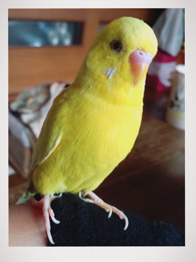ユーザーの写真