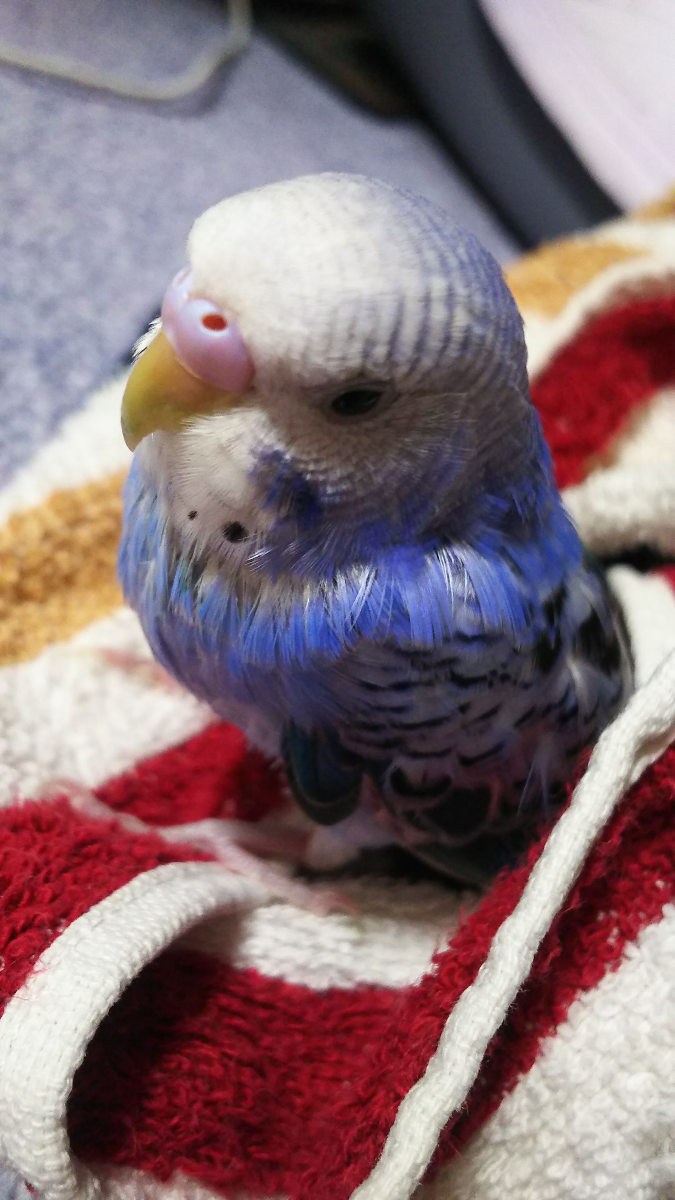 ユーザーの写真