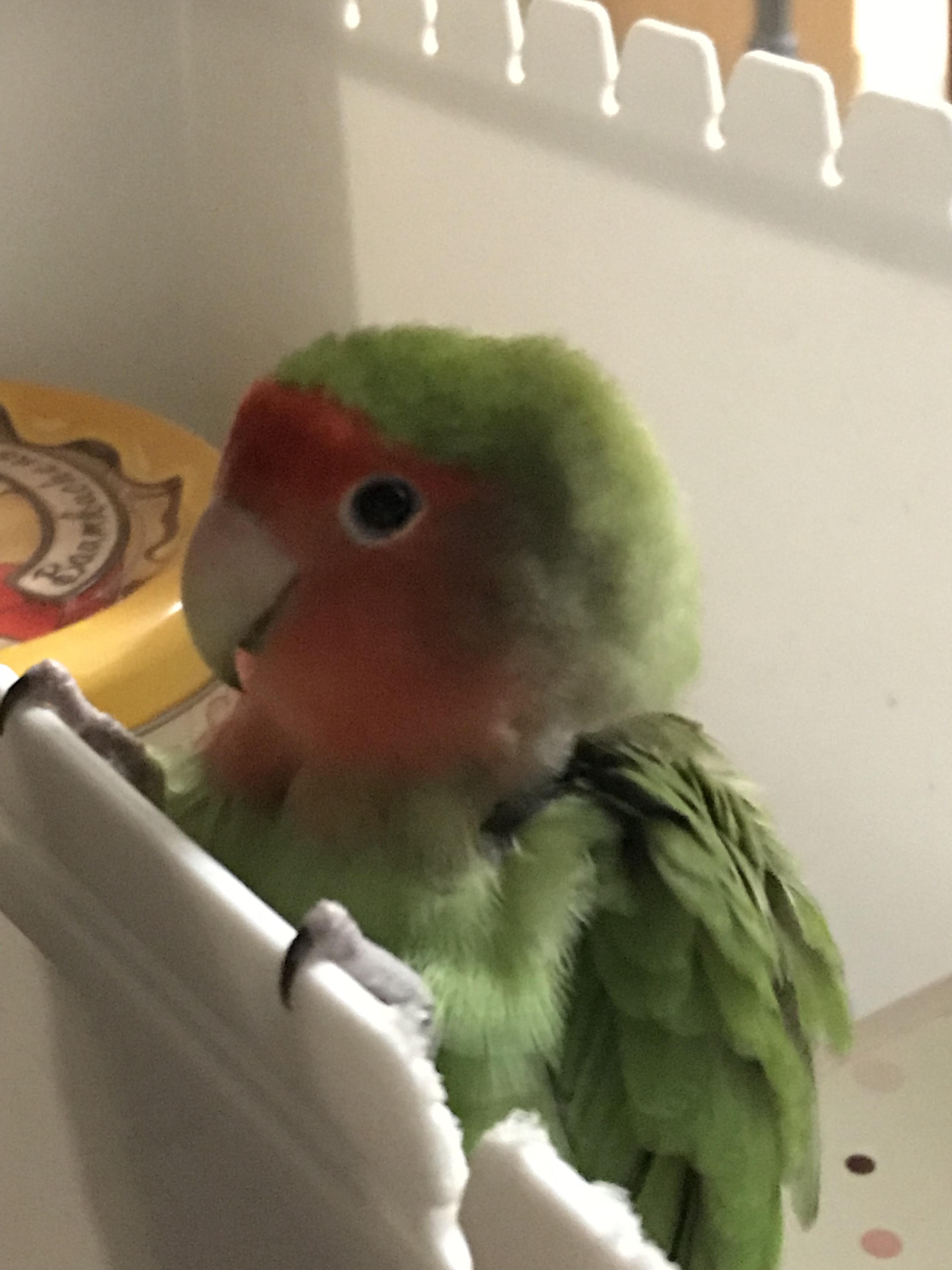 ユーザーの写真