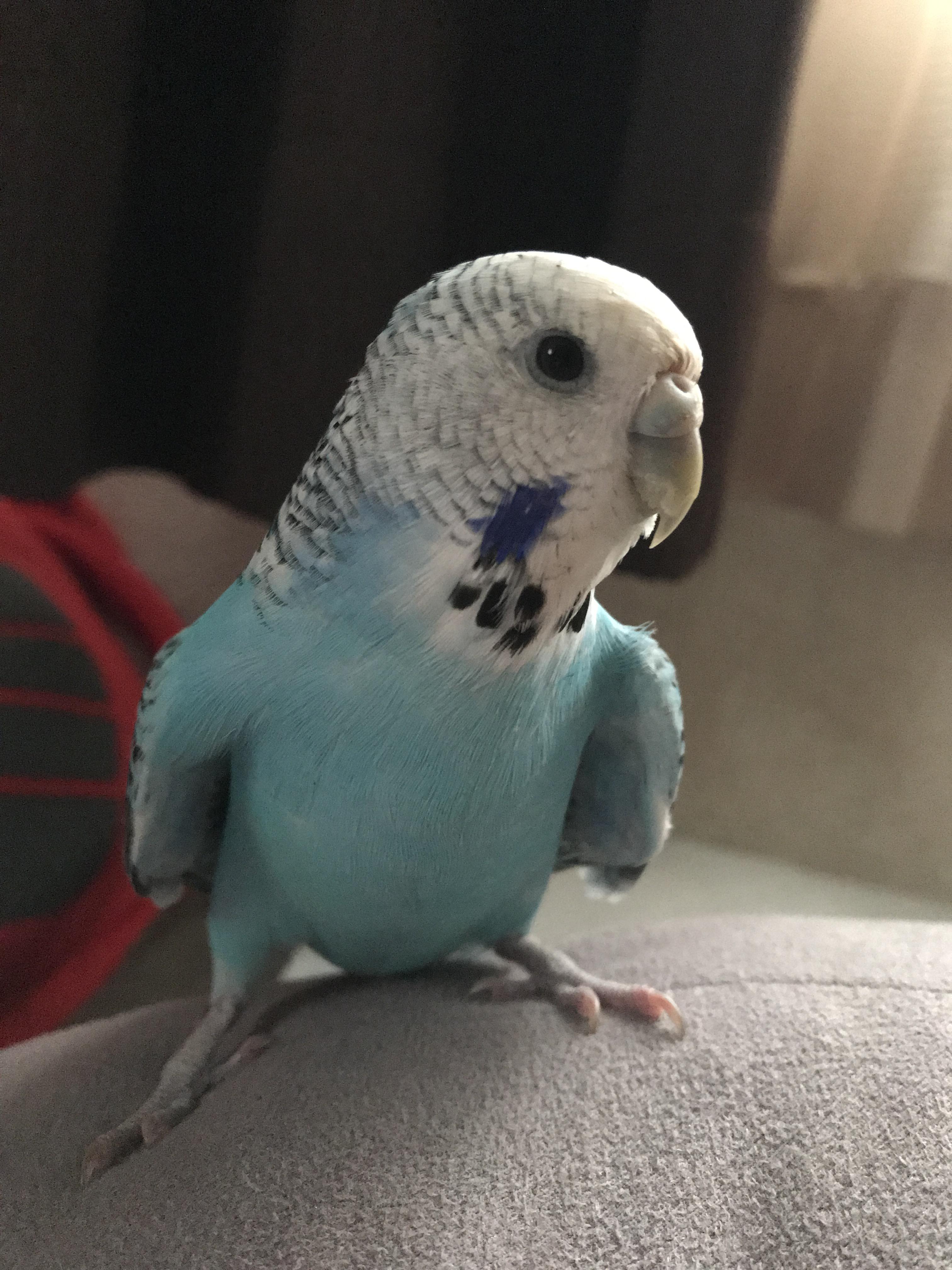 ユーザーの写真