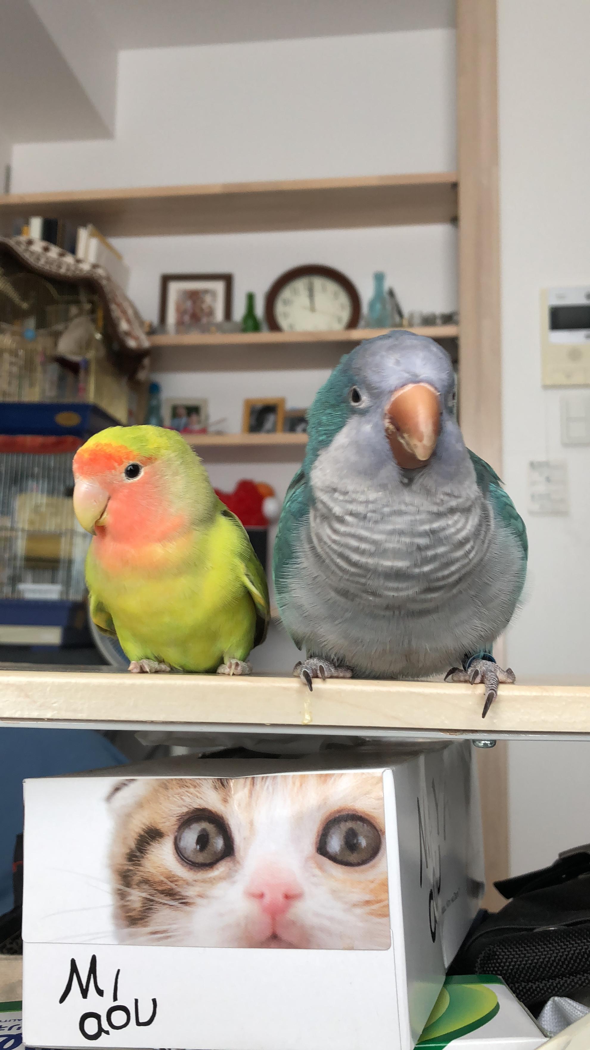 ユーザーの写真