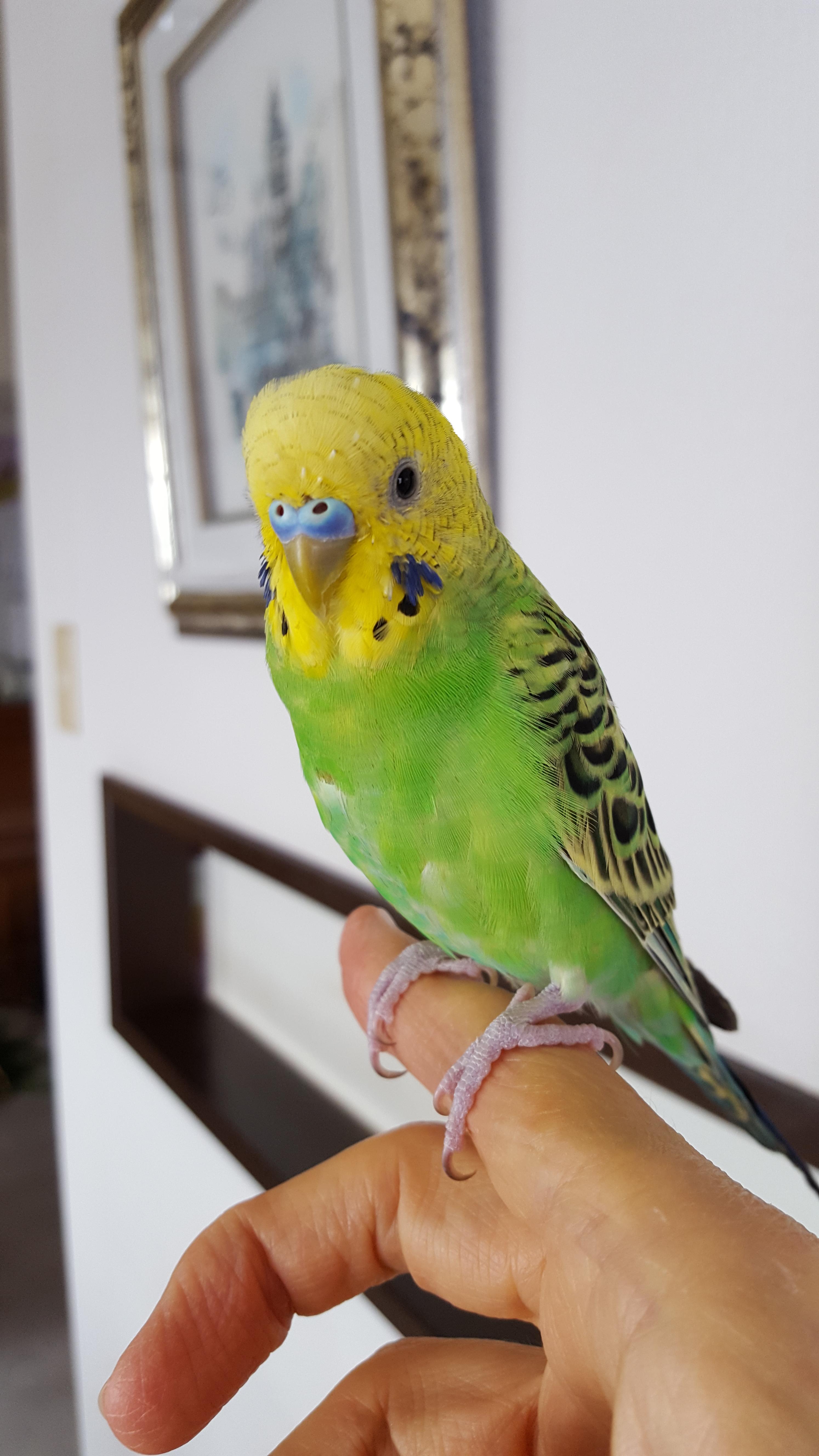 ユーザーの写真