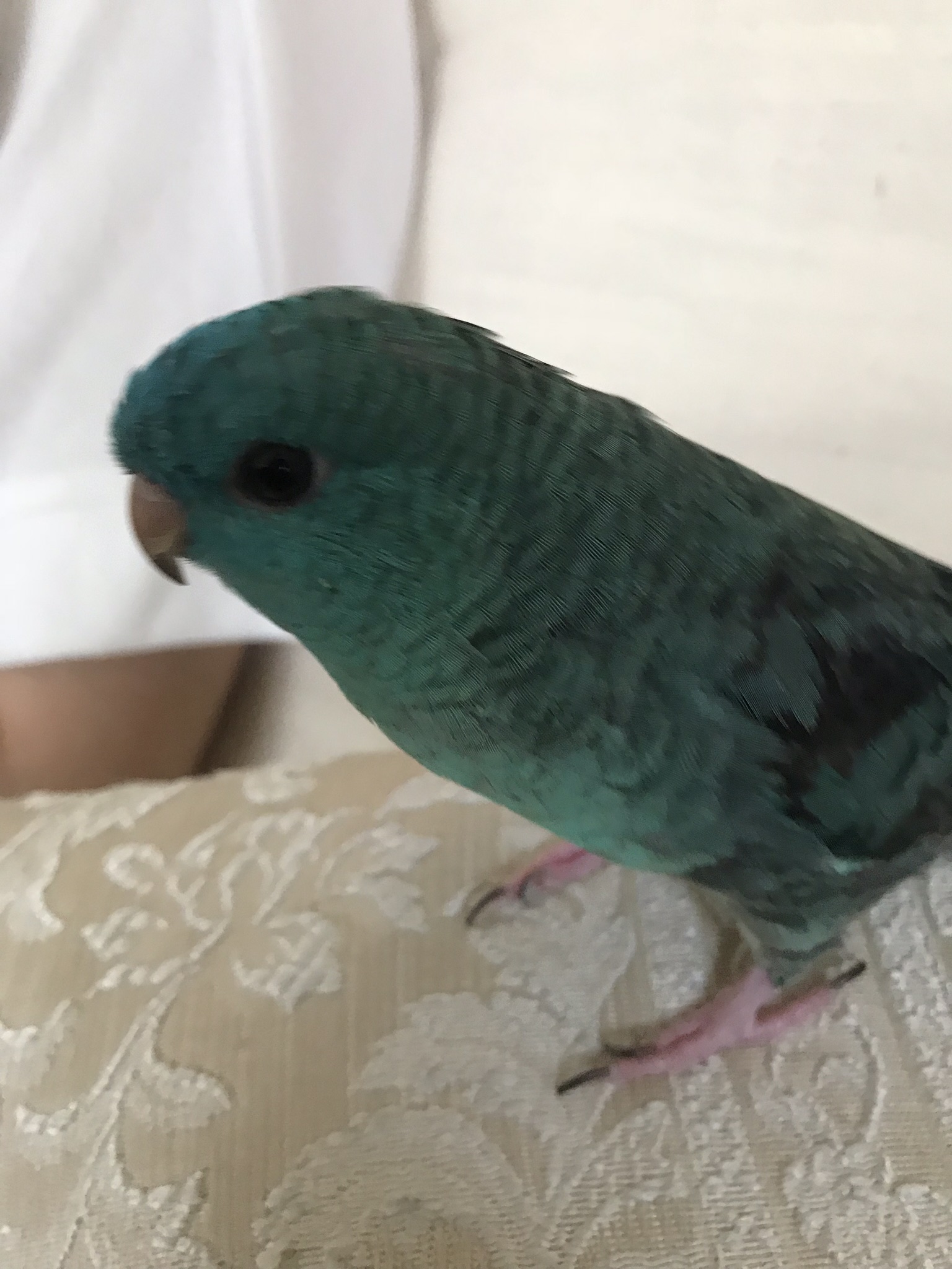 ユーザーの写真
