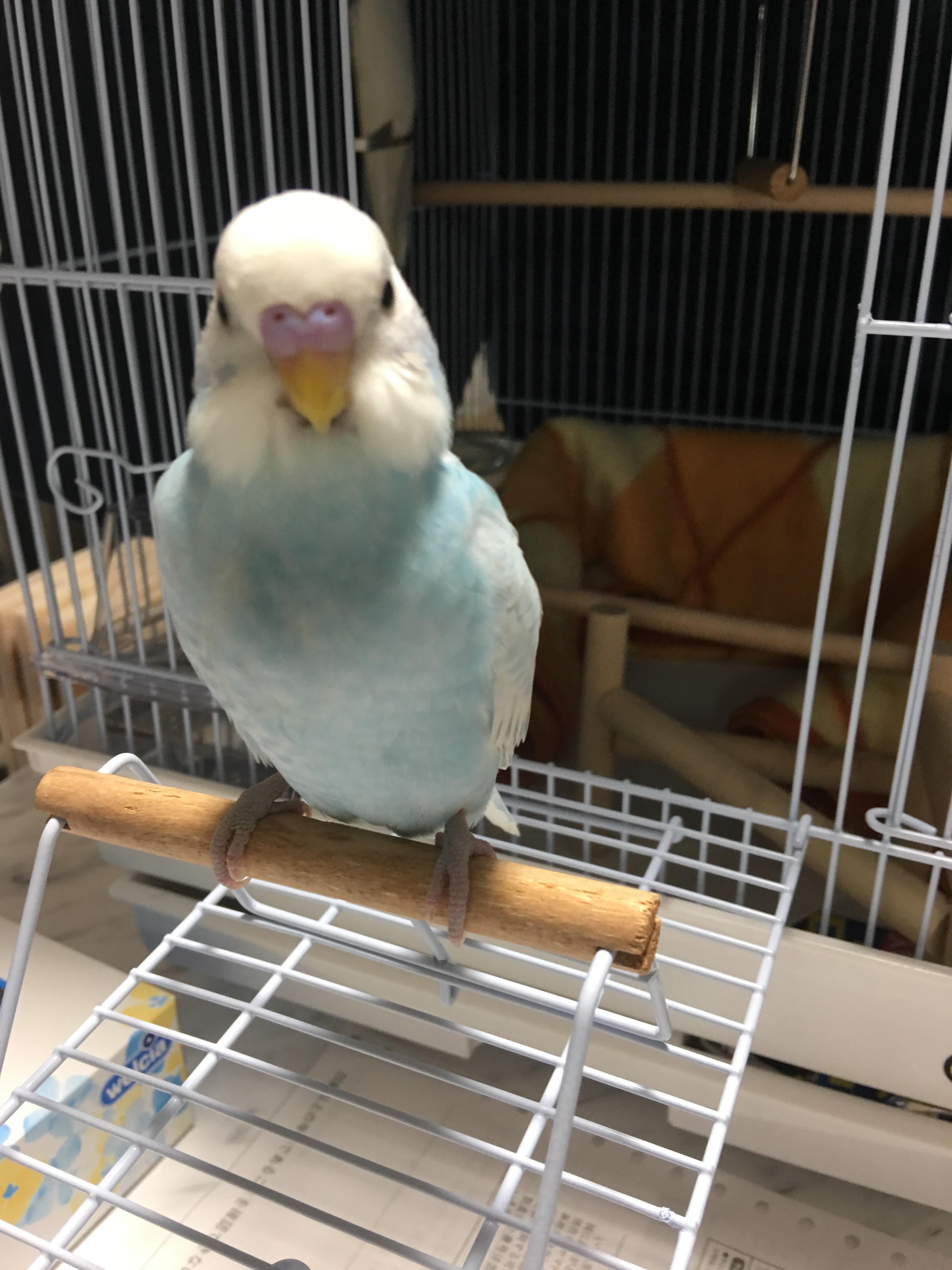 ユーザーの写真