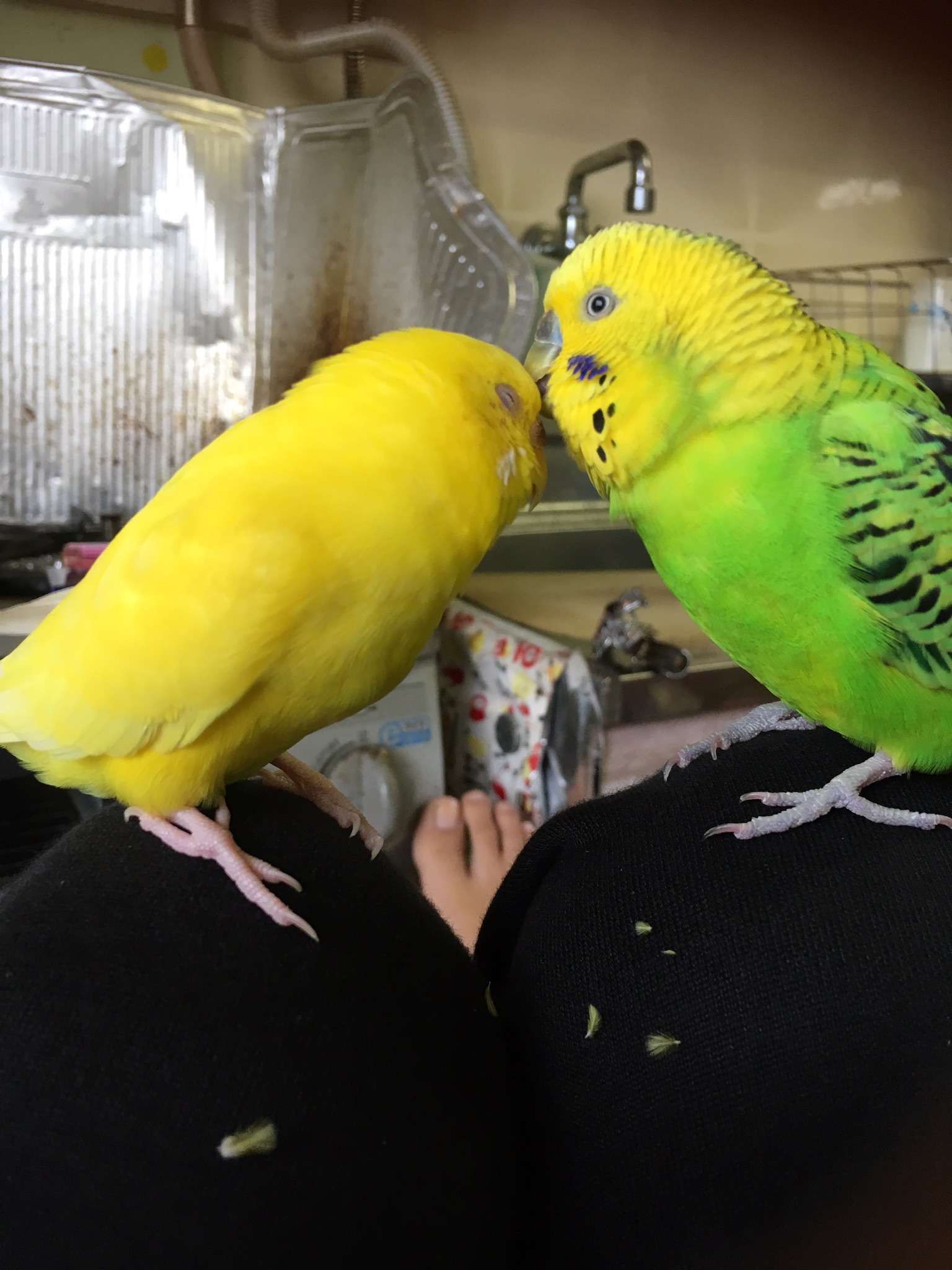 ユーザーの写真