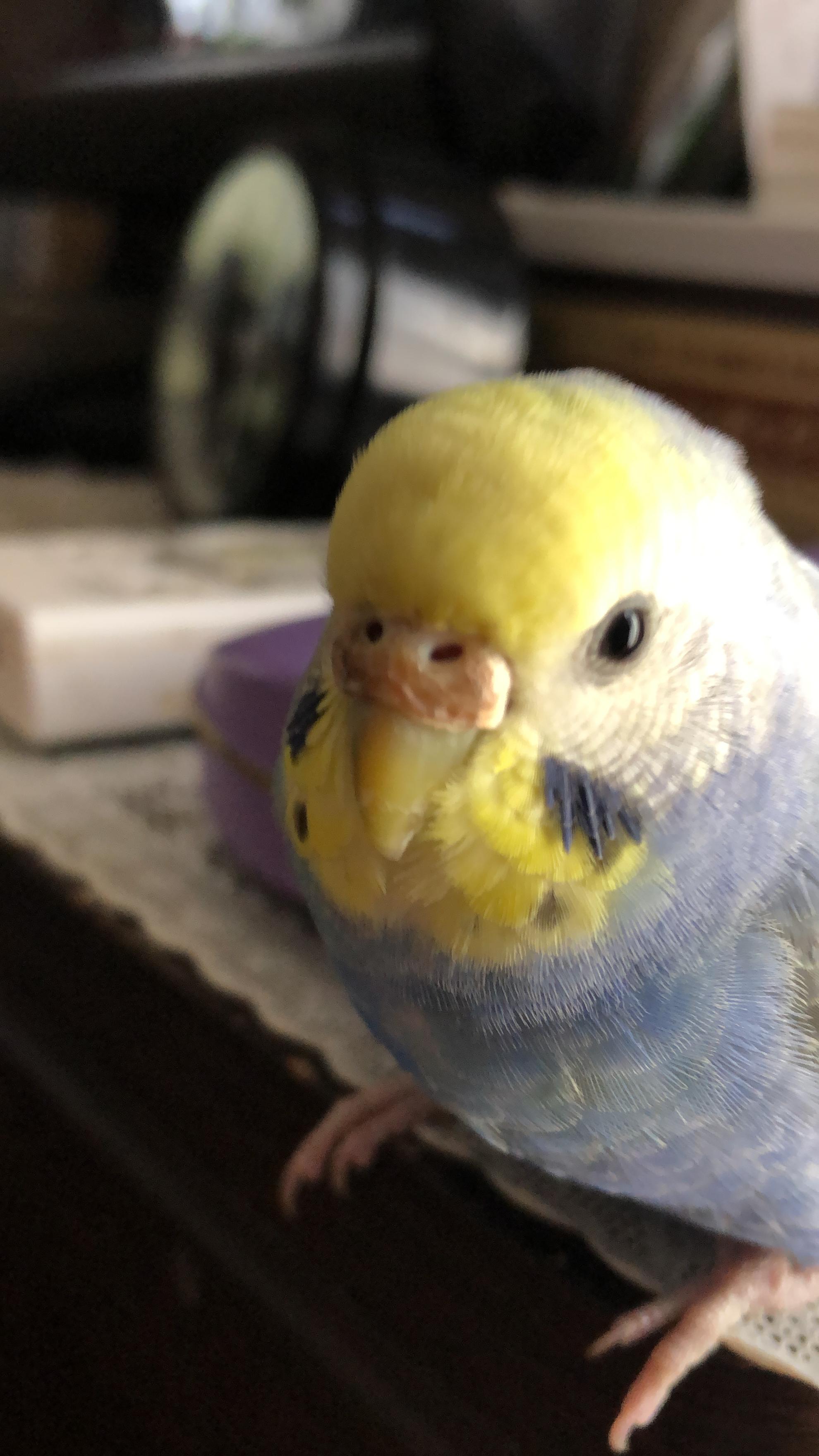 ユーザーの写真