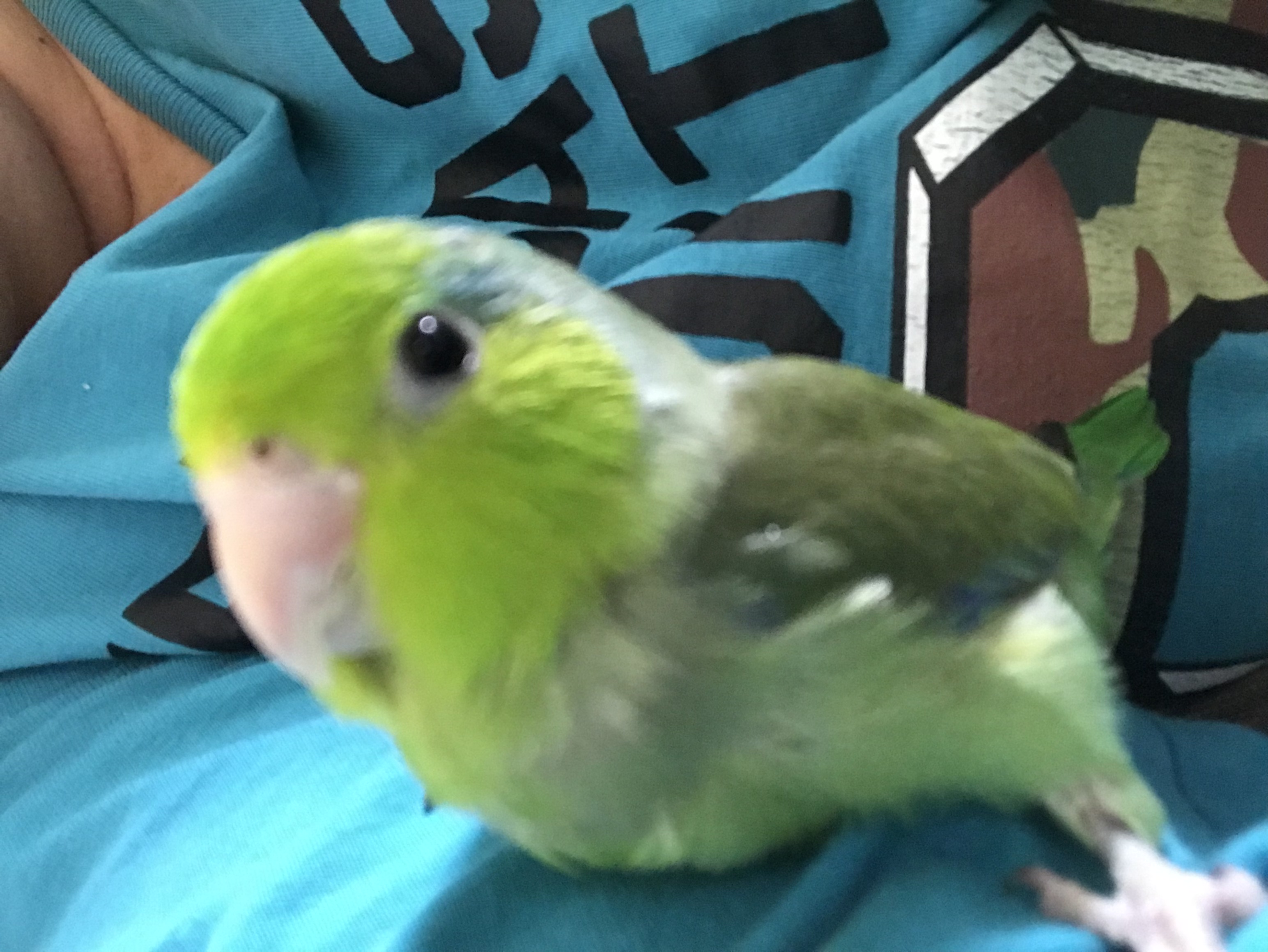 ユーザーの写真