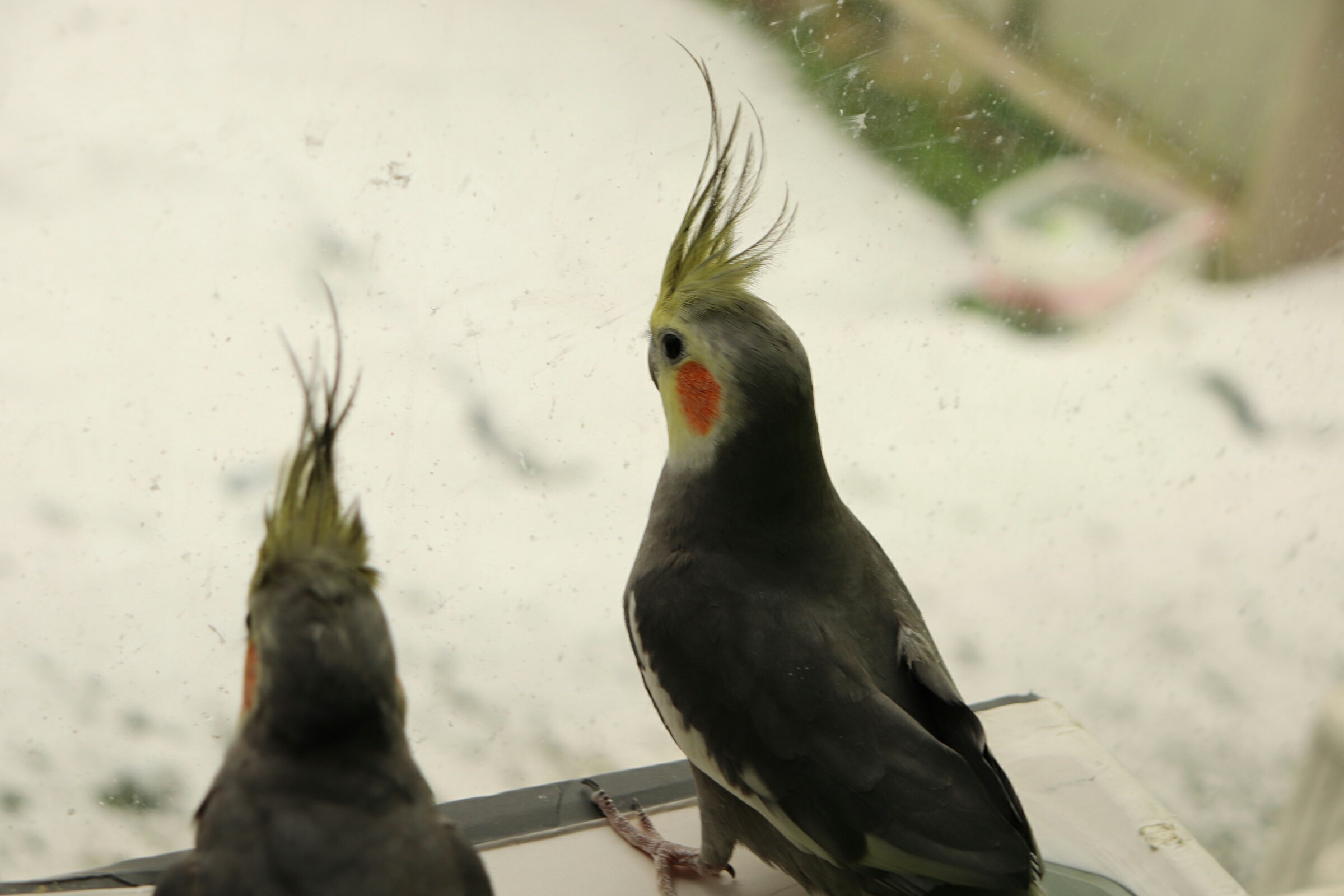 ユーザーの写真