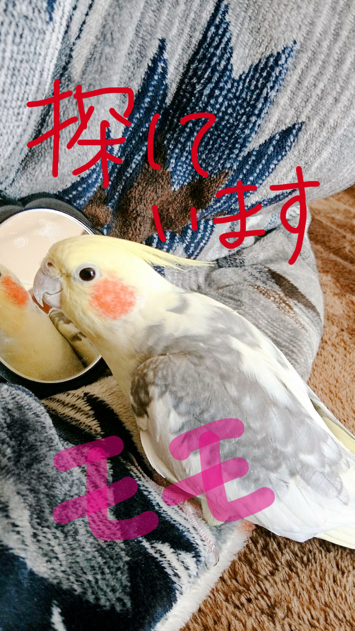 ユーザーの写真
